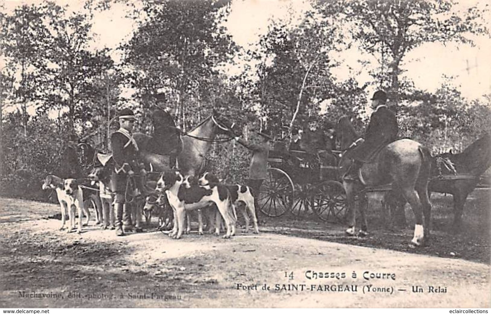 Saint Fargeau     89       Thème Chasse a courre  Lot de 17  cartes   ( voir scan)