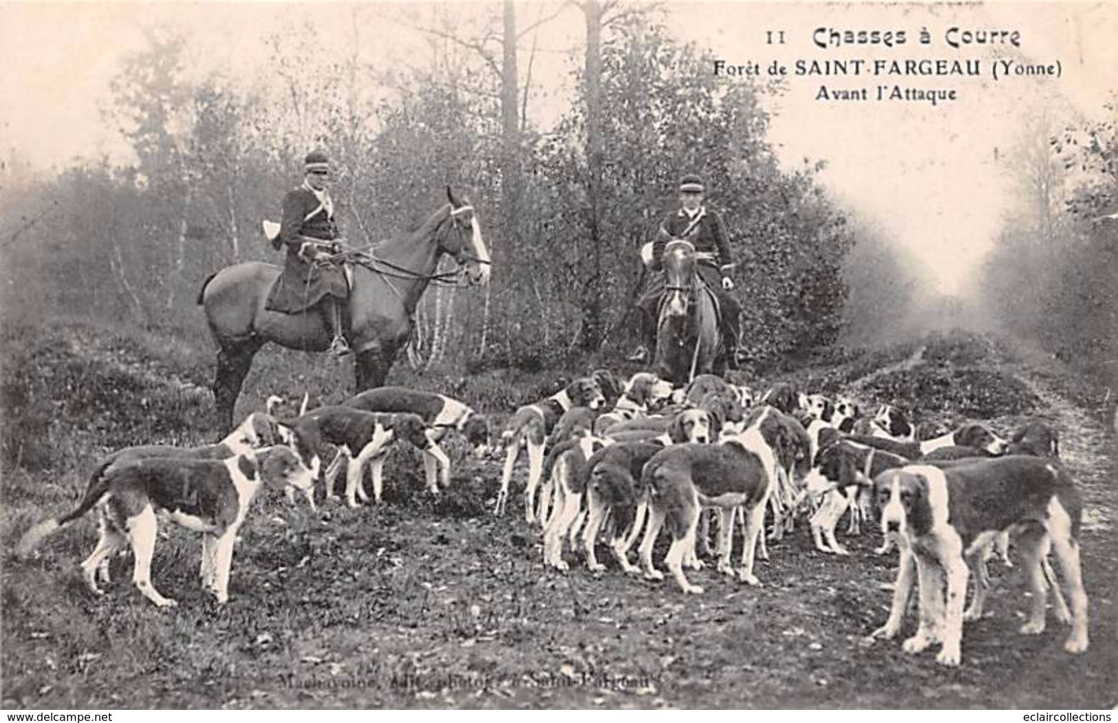 Saint Fargeau     89       Thème Chasse a courre  Lot de 17  cartes   ( voir scan)