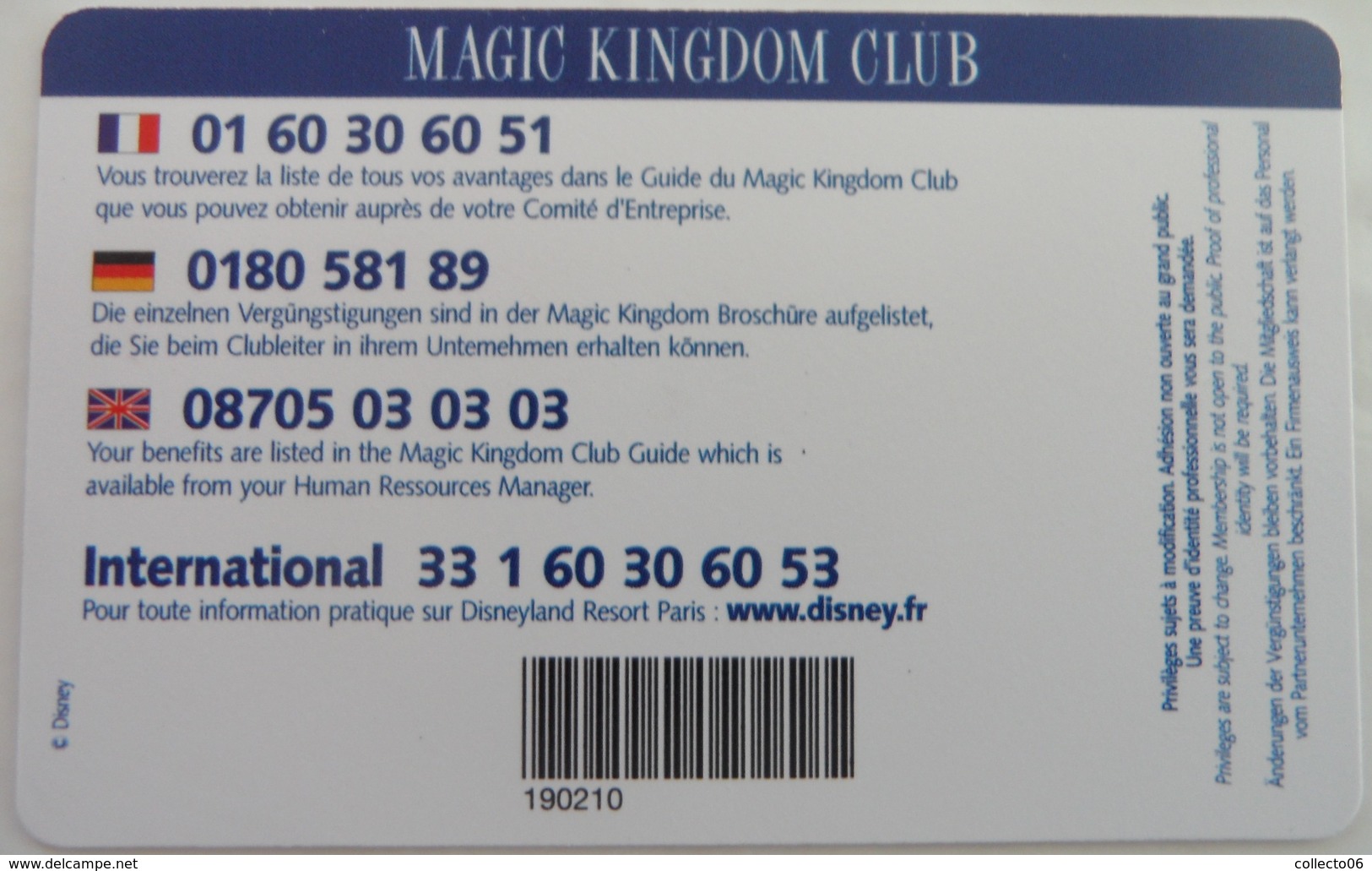 Carte De Membre Magic Kingdom Disneyland Paris Partenaire Coca Cola - Disney-Pässe