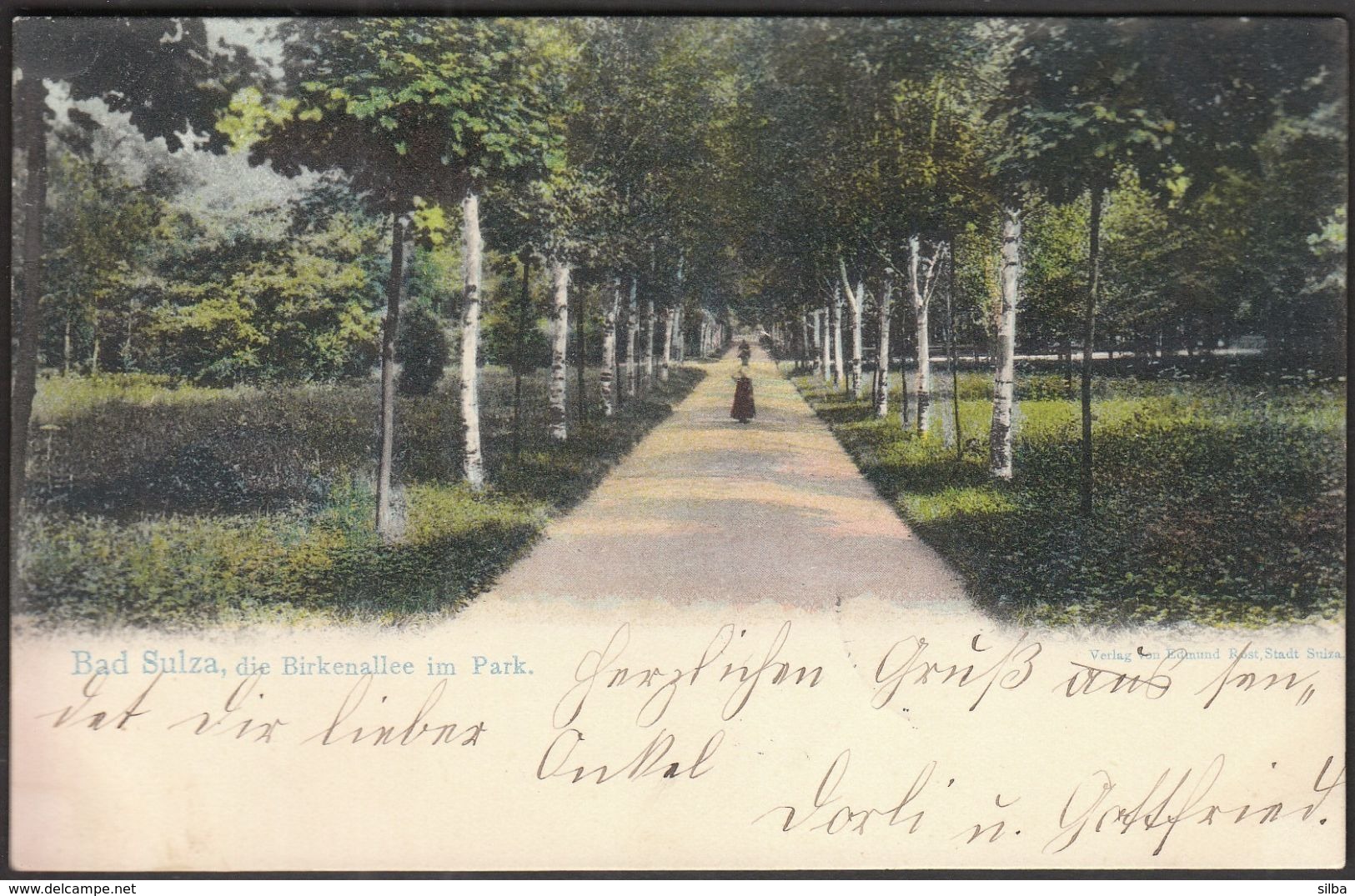 Germany Bad Sulza 1905 / Birkenallee Im Park / Kurpark - Bad Sulza