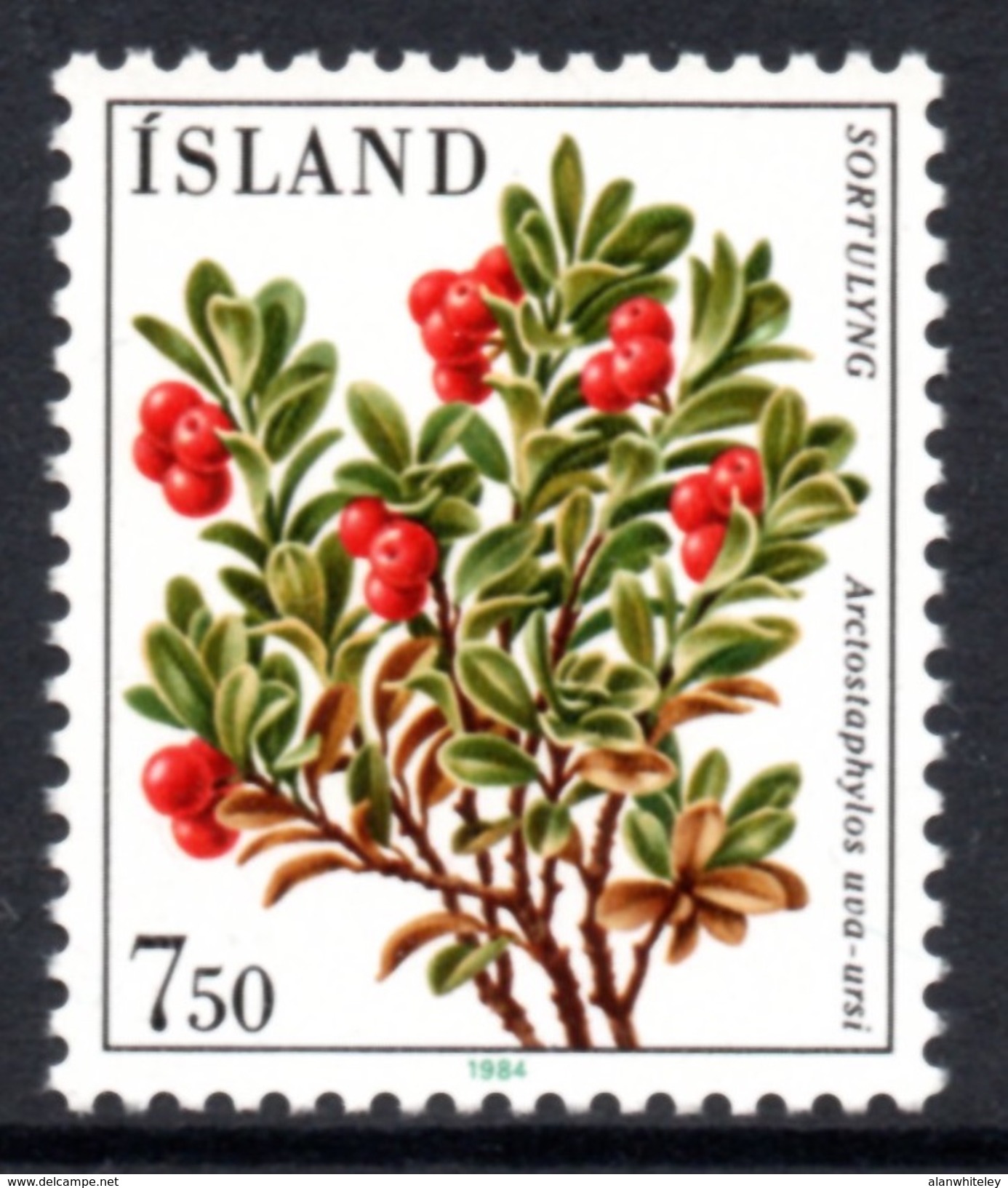 ICELAND 1984 Flowers (7th Issue)/Bearberry ISK7.50: Single Stamp UM/MNH - Unused Stamps