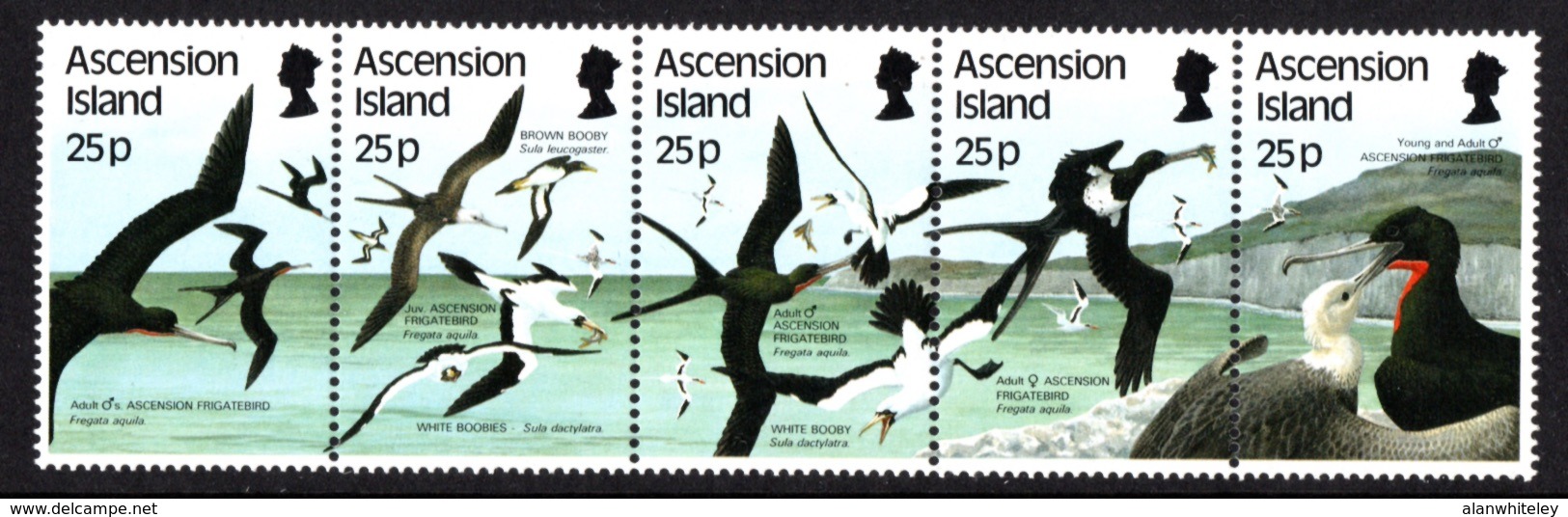 ASCENSION ISLAND 1987 Sea Birds: Strip Of 5 Stamps UM/MNH - Ascension