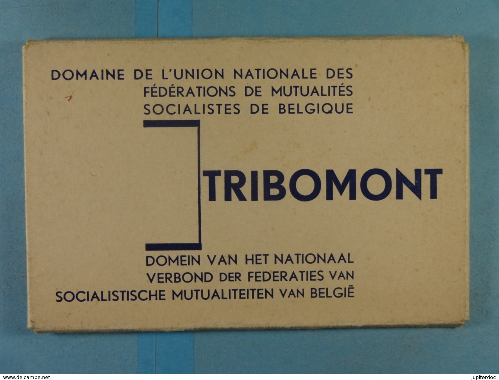 Carnet 12 CPA Tribomont Domaine De L'Union Nationale Des Fédérations Des Mutualités Socialistes De Belgique - Pepinster