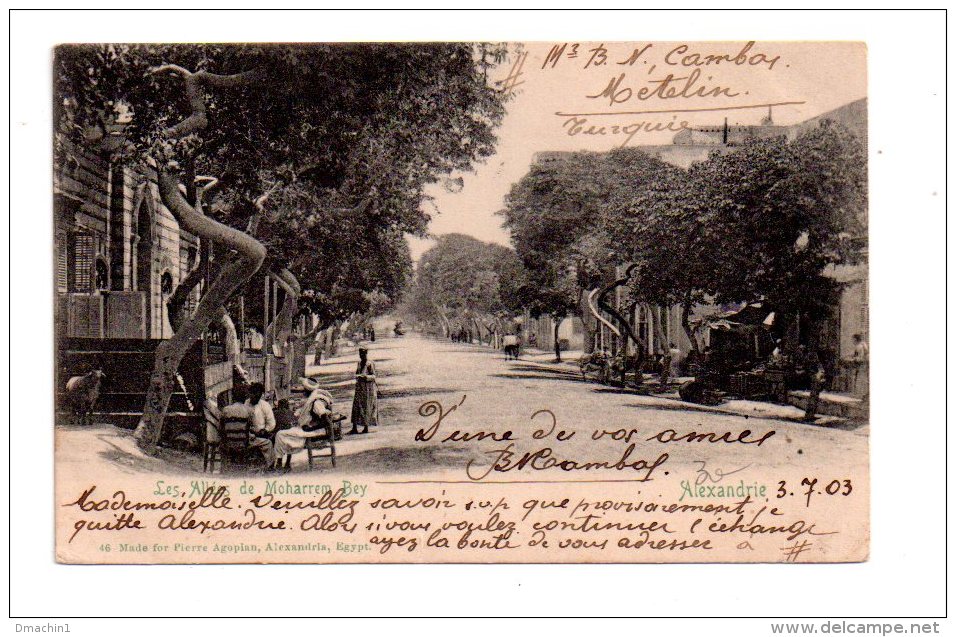 Carte Postale Egypte Et Timbre Egypt Et Affranchissement Alexandrie - -voir état- - Oblitérés