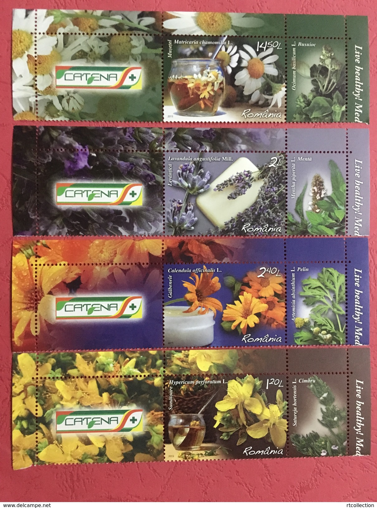 Romania 2015 Medicinal Plants Medicine Plant Flowers Flower Flora Nature Health Living Food Drinks Tea Strip Stamps MNH - Sonstige & Ohne Zuordnung