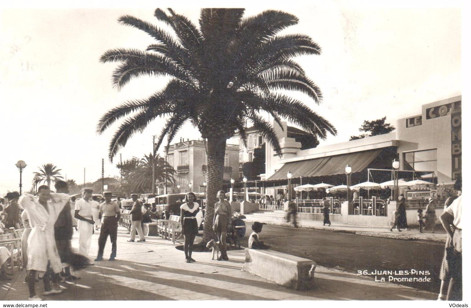 Antibes - Juan Les Pins - La Promenade - Juan-les-Pins