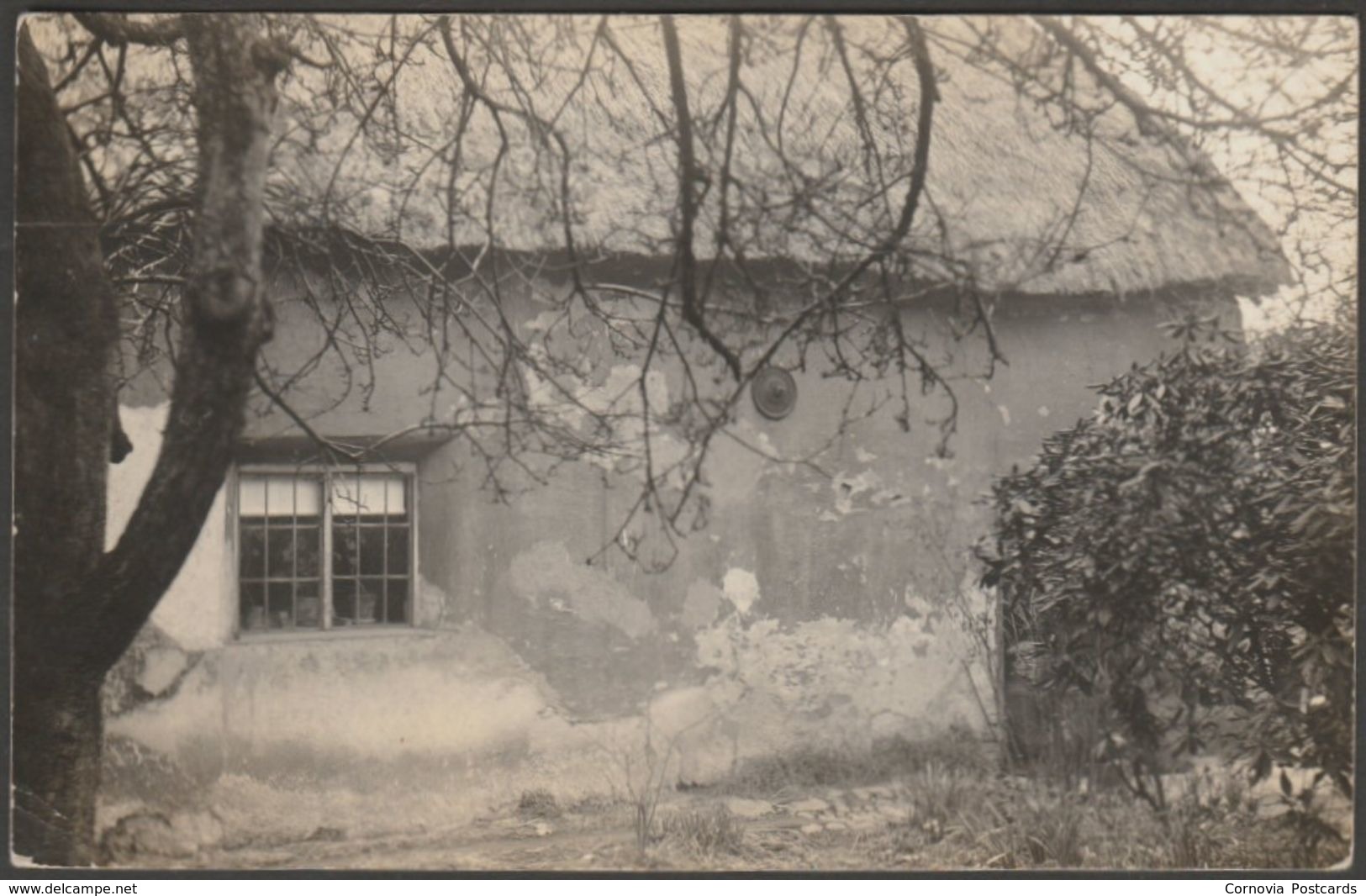 Unidentified Thatched Cottage, C.1910s - RP Postcard - To Identify