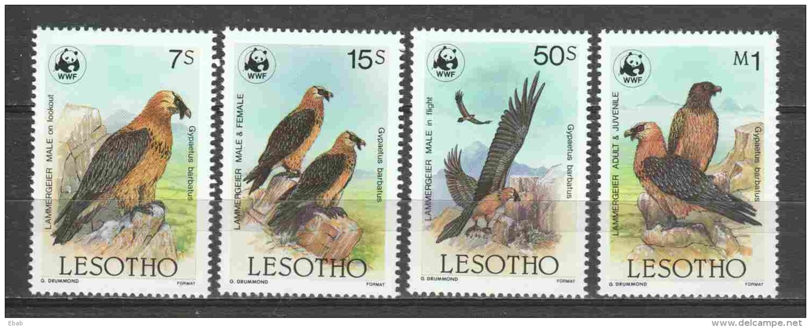 Lesotho 1986 Mi 556-559 MNH WWF BIRDS - Unused Stamps