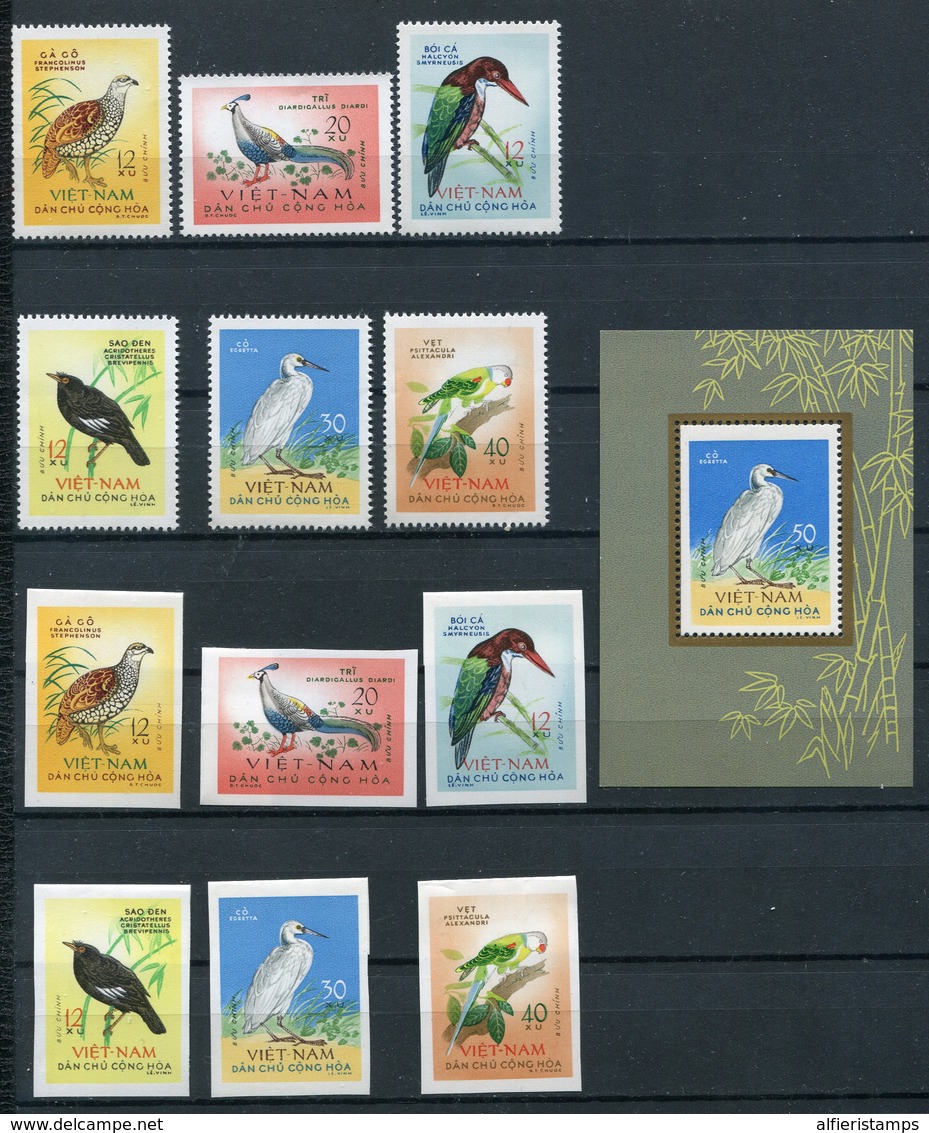 1963- VIETNAM NORD-BIRDS -LOT-PERF.+IMPERF.+ SS.. -M.N.H.- LUXE !! - Vietnam