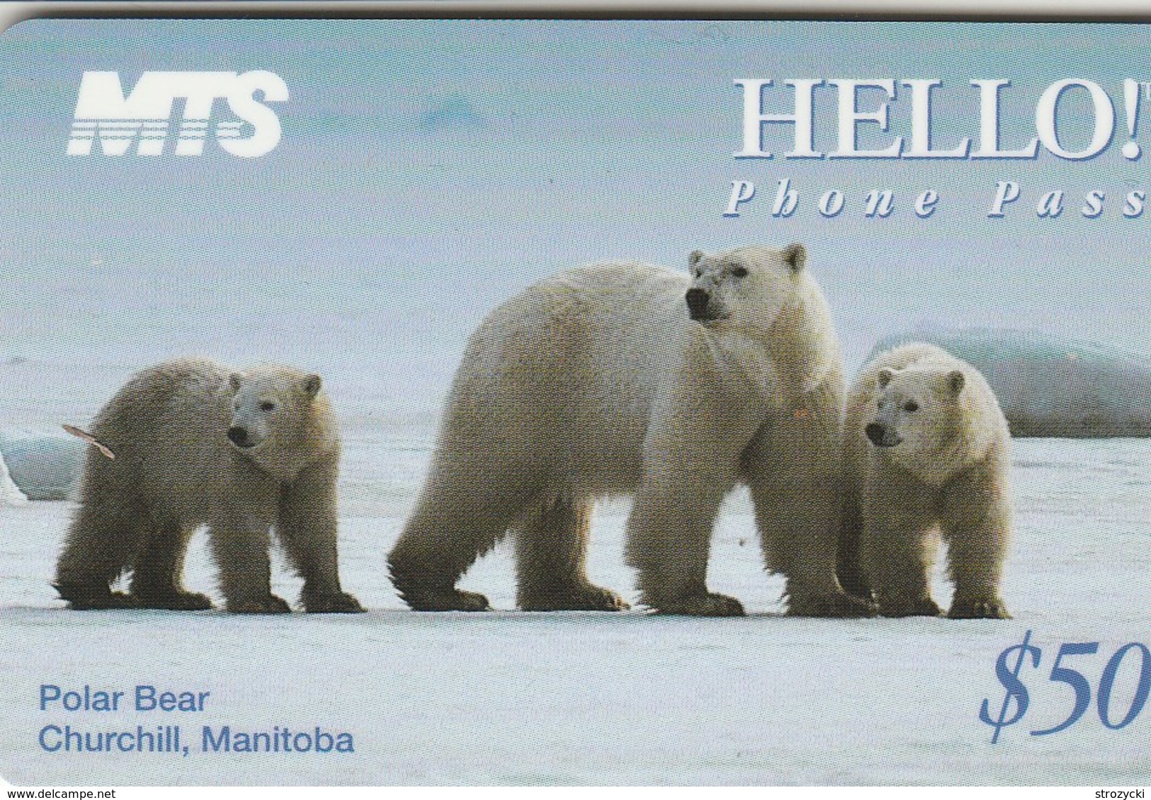 Canada - Polar Bears - Canada