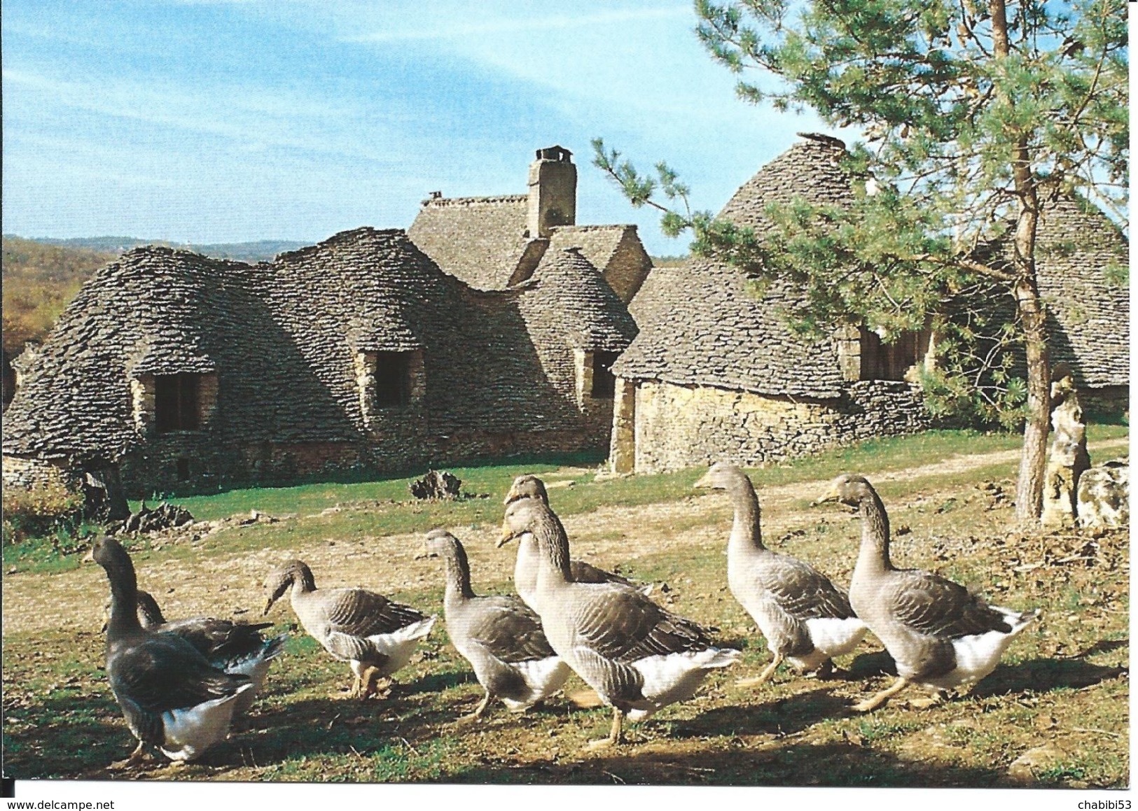 24 - PERIGORD - Les Oies Dans Le Cadre Pittoresque Des Cabanes Du Breuil - Aquitaine