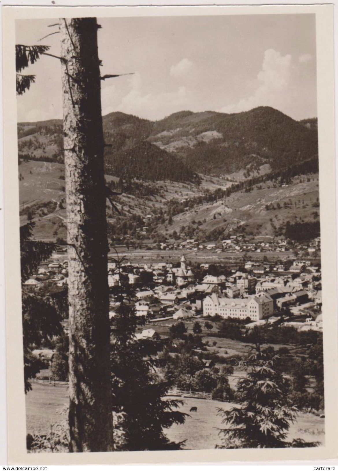 ROUMANIE,ROMANIA,ROMANA,RUMANIA,LUNG MOLDOVENESC,CARTE PHOTO - Rumänien