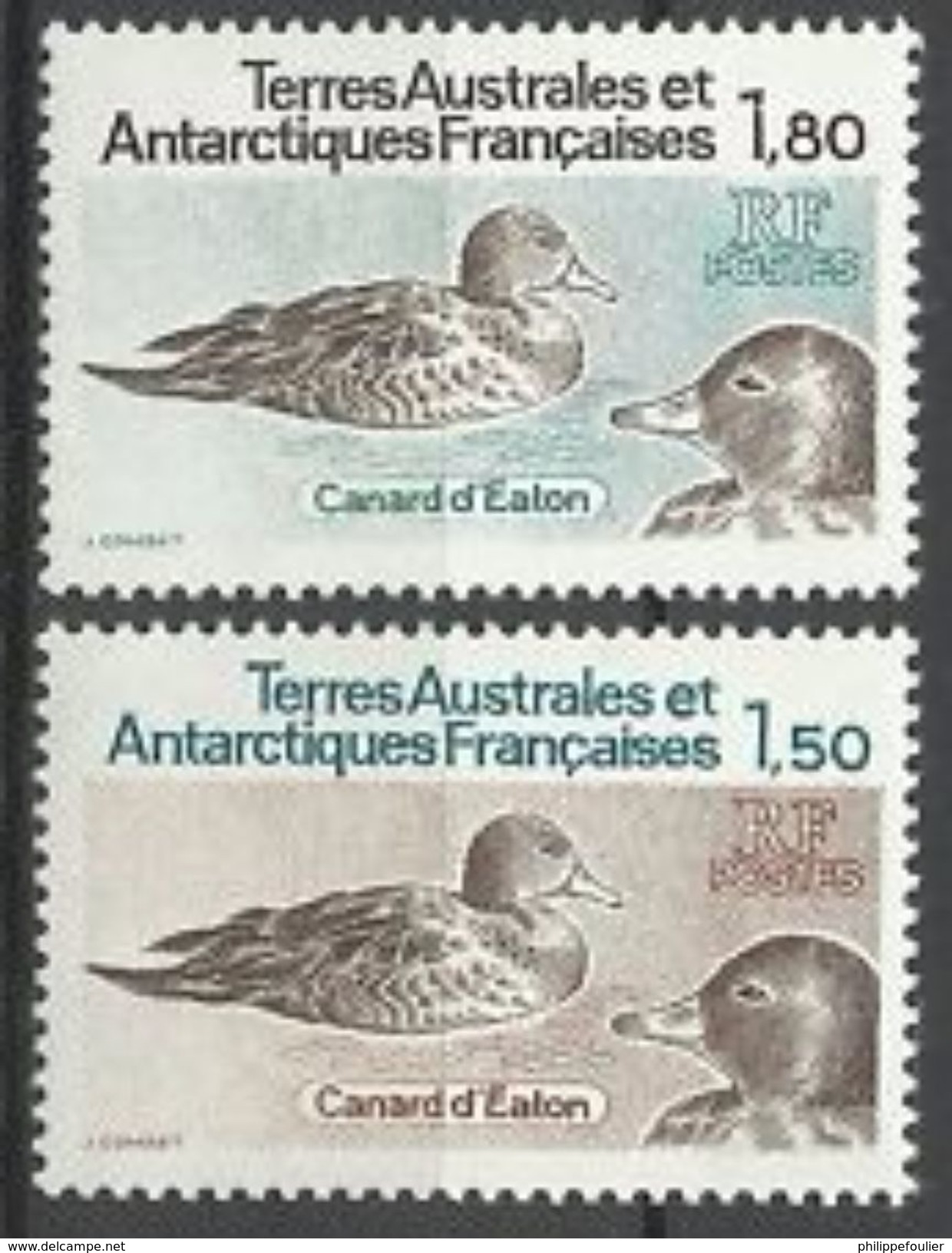 TAAF 1982 N° 97/98 ** Neufs MNH  Faune Oiseaux Canards D' Eaton - Unused Stamps