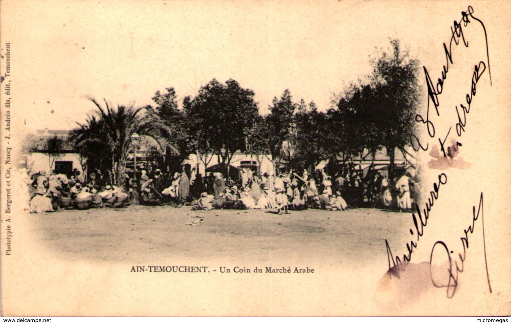 Algérie - AÏN-TEMOUCHENT - Un Coin Du Marché Arabe - Sonstige & Ohne Zuordnung