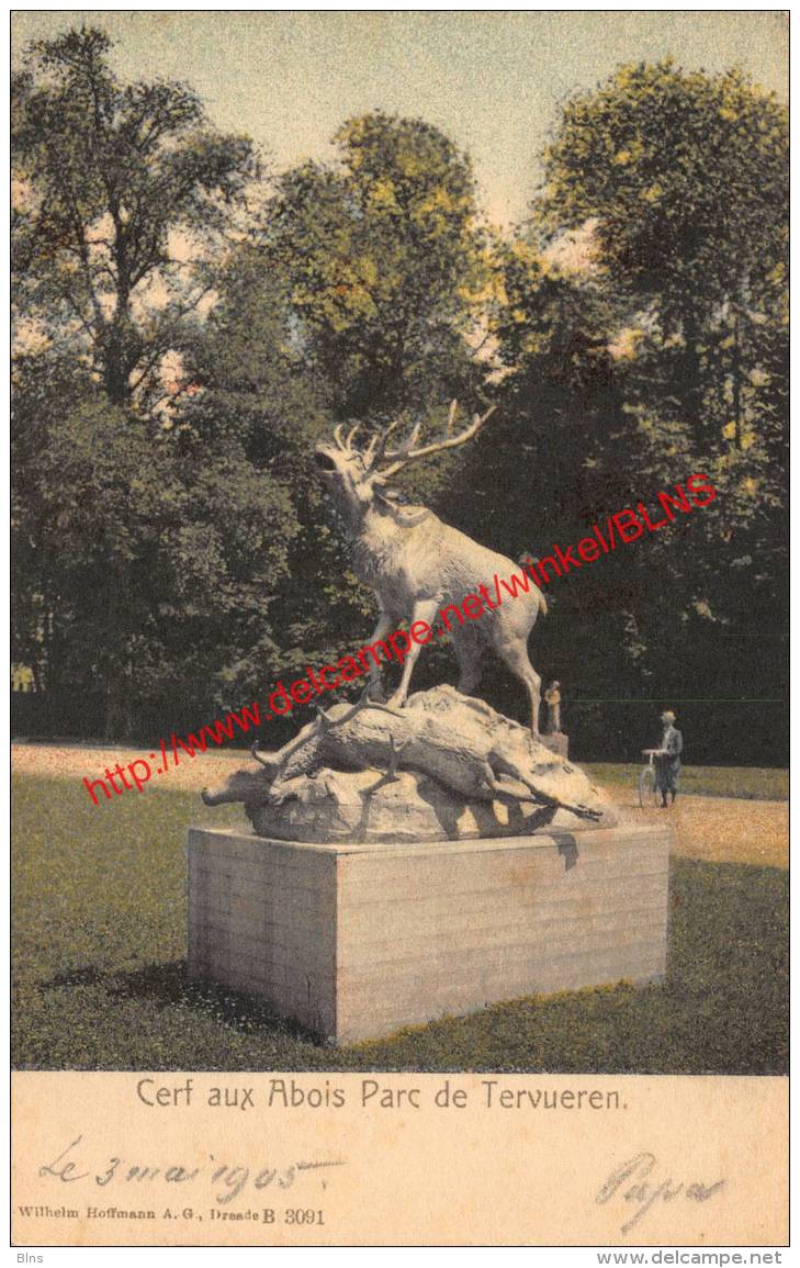 Cerf Aux Abois Parc De Tervueren - 1905 - Tervuren Tervueren - Tervuren