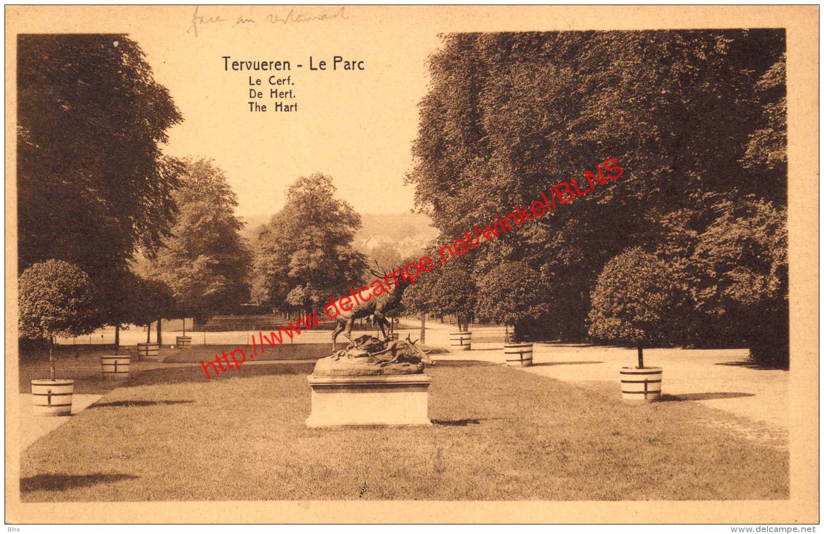 Le Parc - Le Cerf - Hert - Tervuren Tervueren - Tervuren