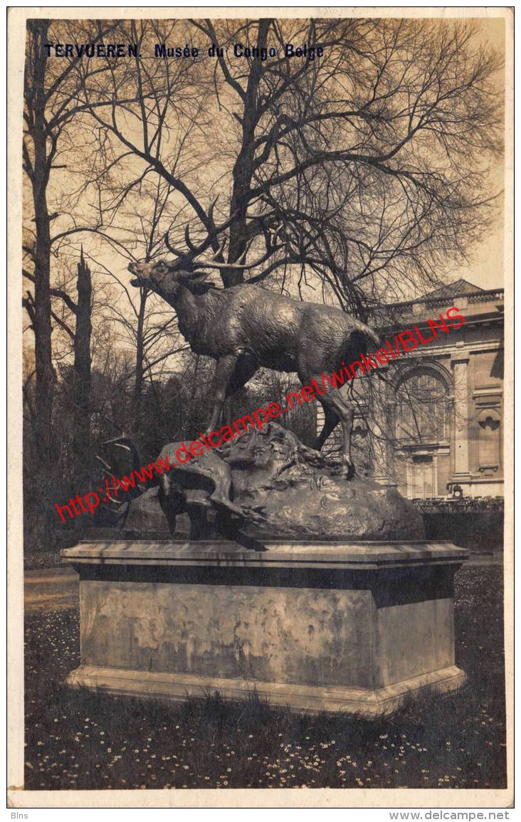 Musée Du Congo Belge - Tervuren Tervueren - Tervuren