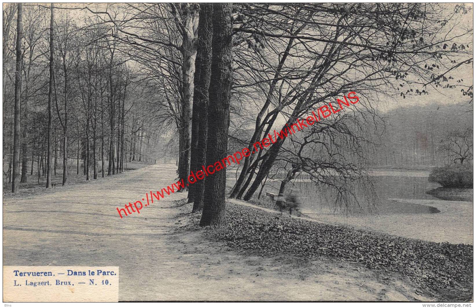 Dans Le Parc - Tervuren Tervueren - Tervuren