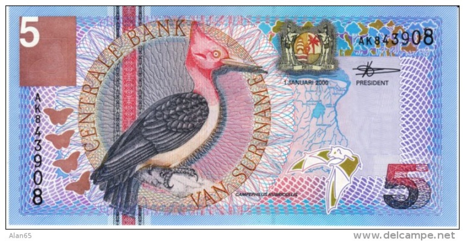 Suriname #146 5 Gulden 2000 Banknote Money Currency, Bird Flowers - Suriname