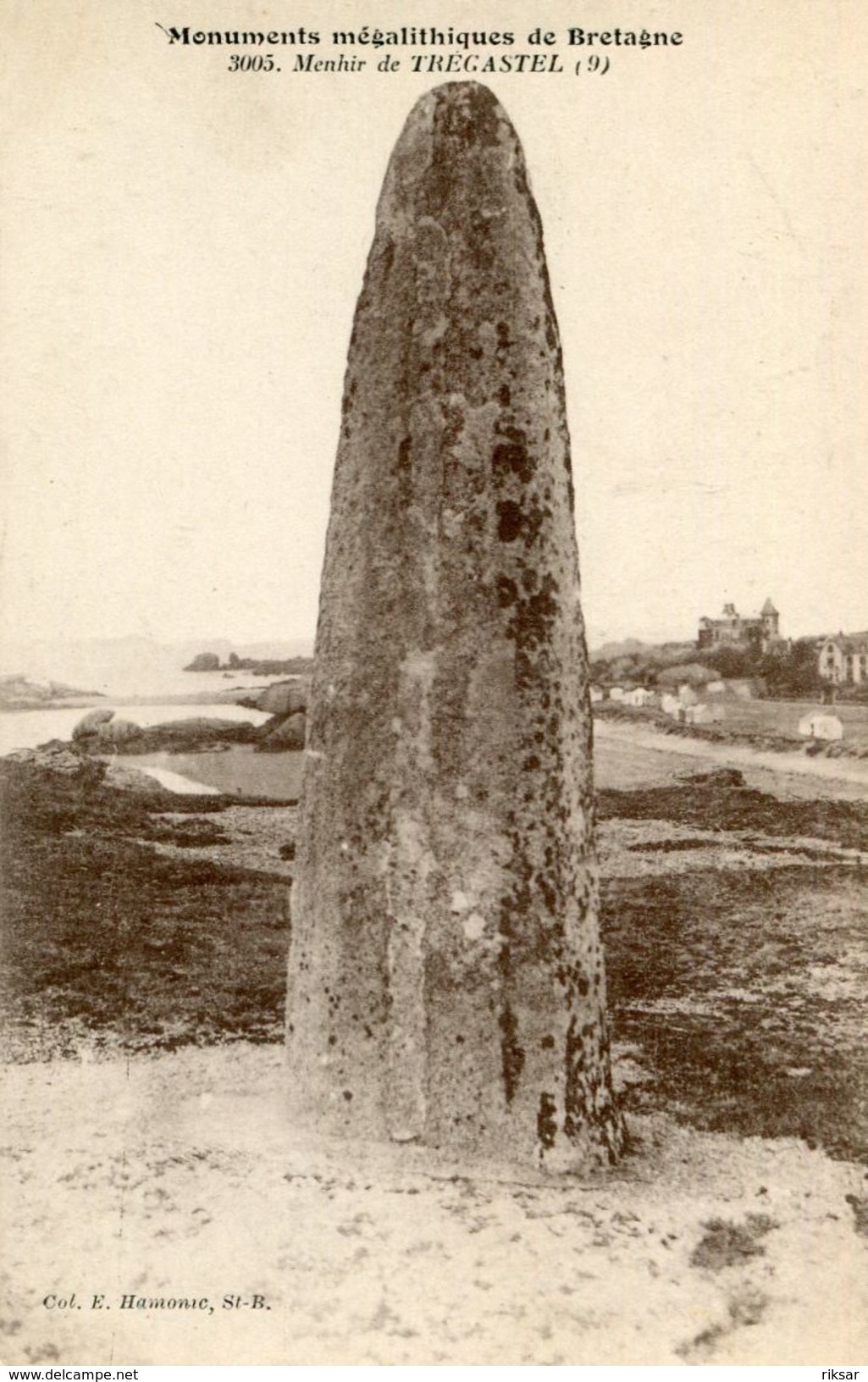 MENHIR(TREGASTEL) - Dolmen & Menhirs