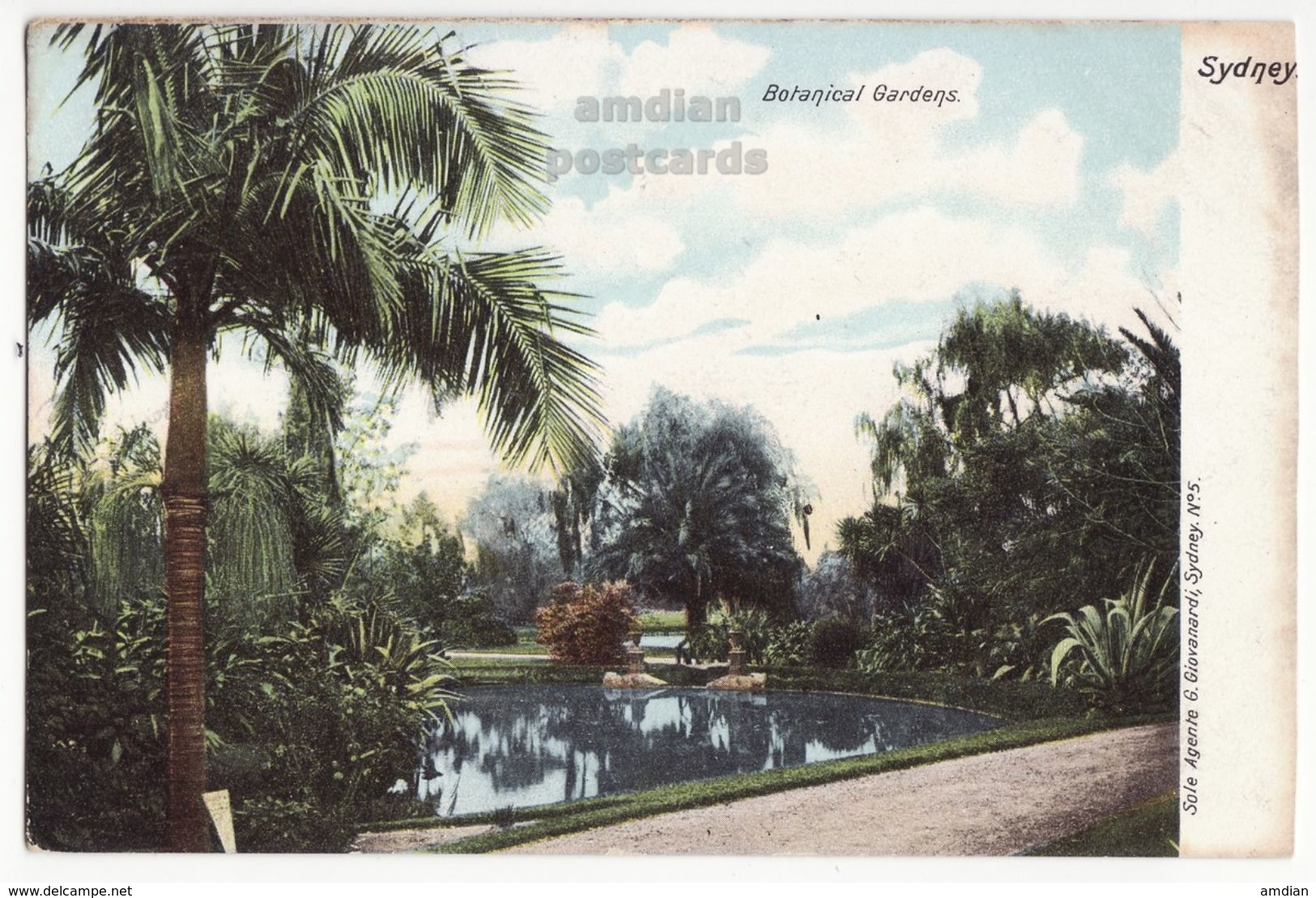 Australia Sydney NSW, Botanical Gardens View  C1900s Giovanardi UDB Vintage Postcard S8892 - Sydney
