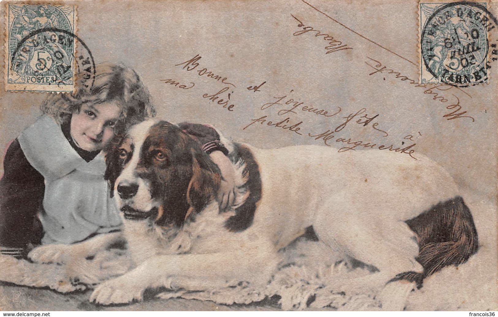 St Saint Bernard - Chien Et Petite Fille - Illustration - Chiens