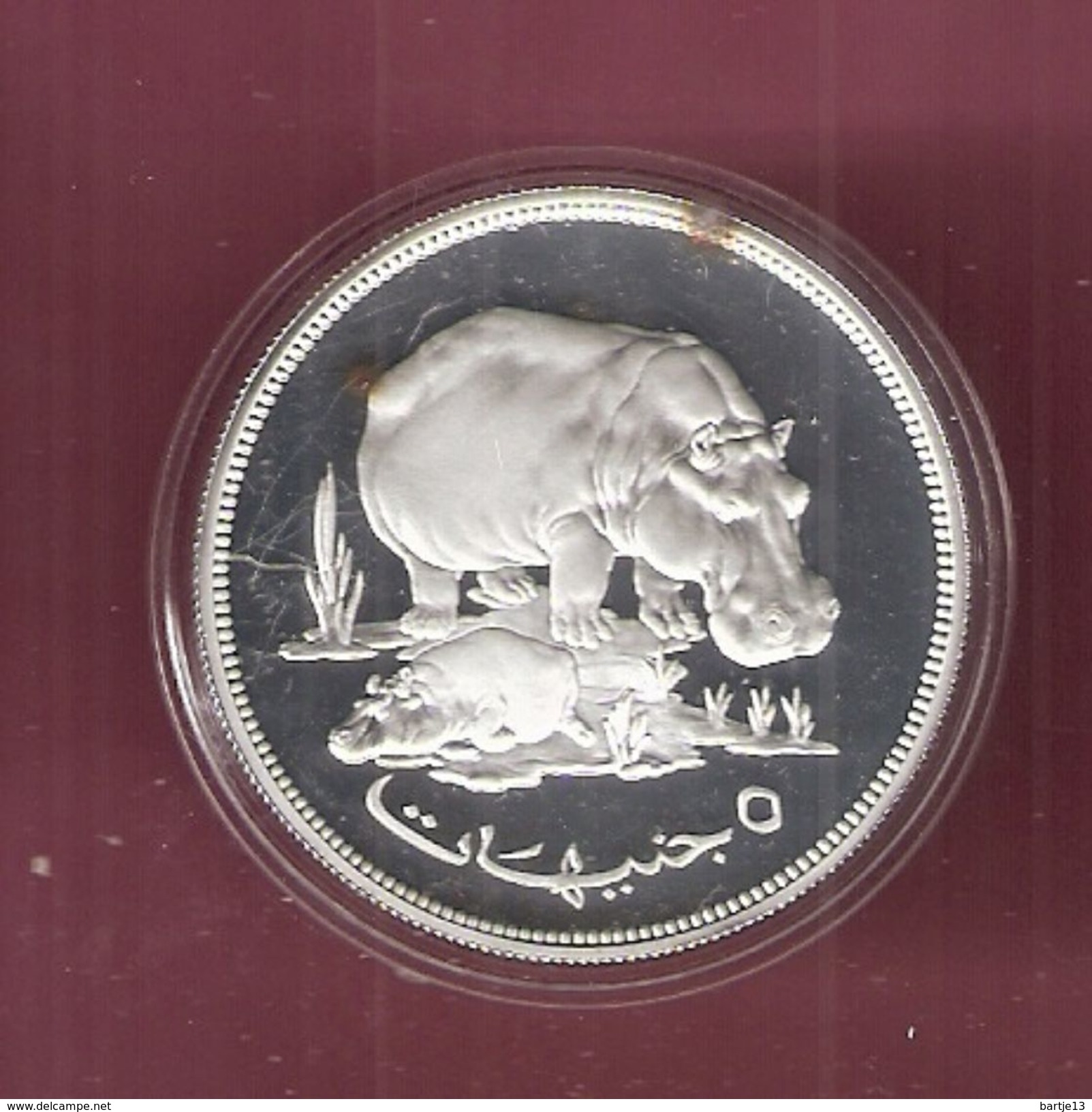 SOEDAN 5 POUNDS 1976 SILVER PROOF WWF HIPPOPOTAMUS NIJLPAARD - Soedan