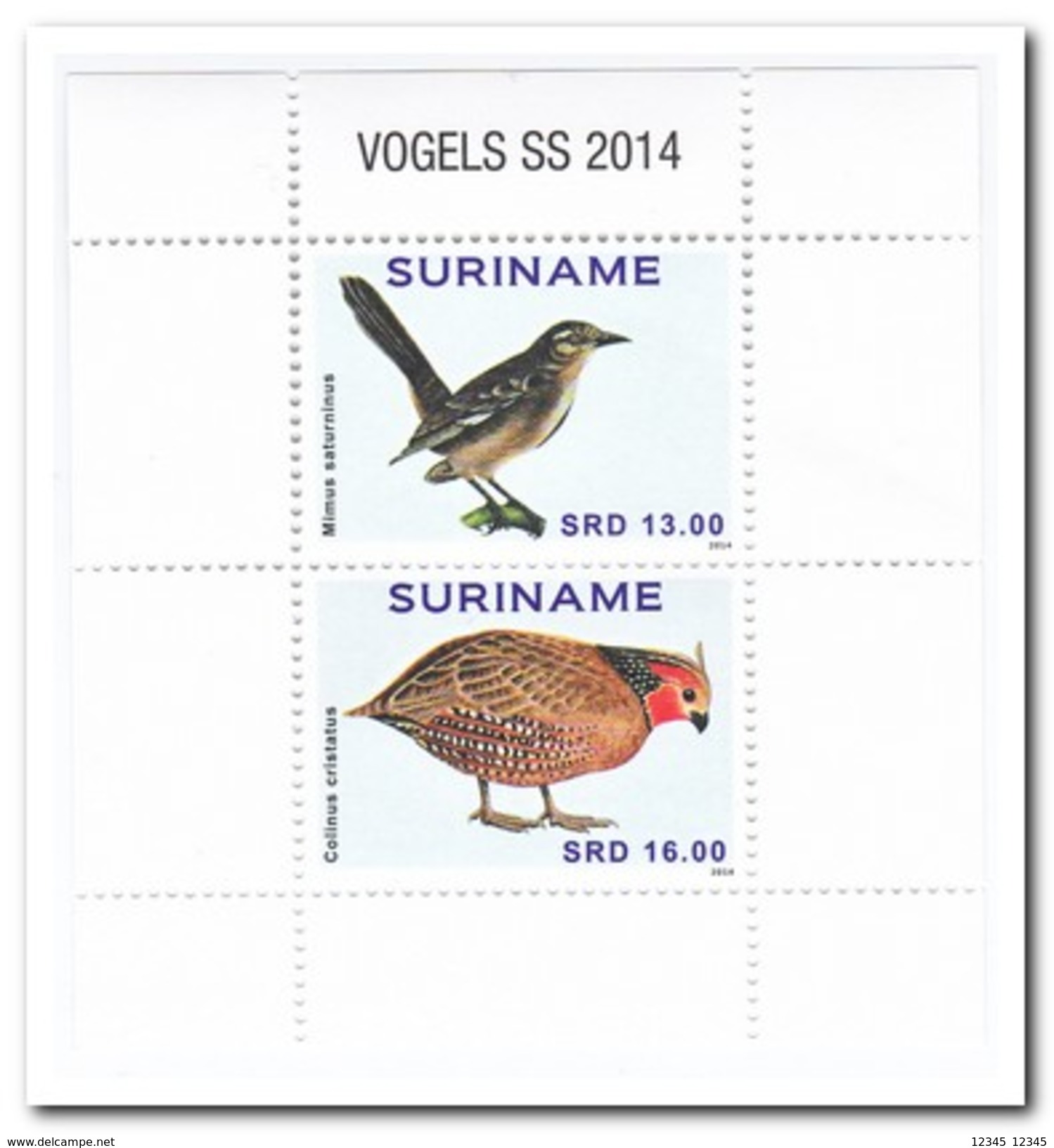 Suriname 2014, Postfris MNH, Birds - Suriname