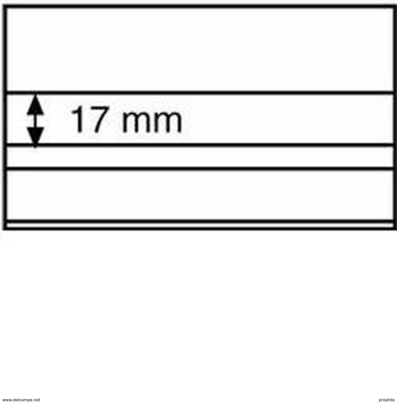 Einsteckkarten Standard PS,148x85 Mm,2 Klare Streifen Mit Deckblatt,schw.Karton,100er-Pa - Einsteckkarten