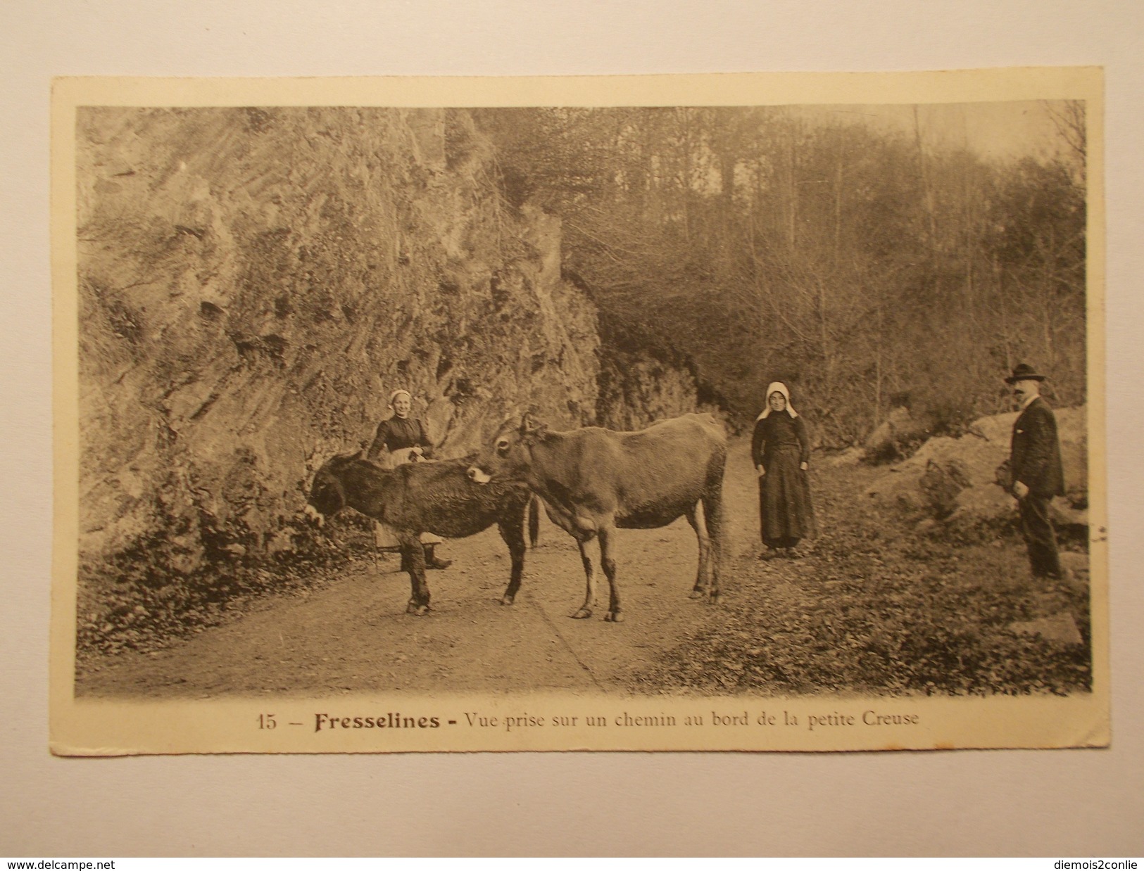 Carte Postale -  FRESSELINES (23) - Vue Prise Sur Un Chemin Au Bord De La Petite Creuse (1979) - Sonstige & Ohne Zuordnung