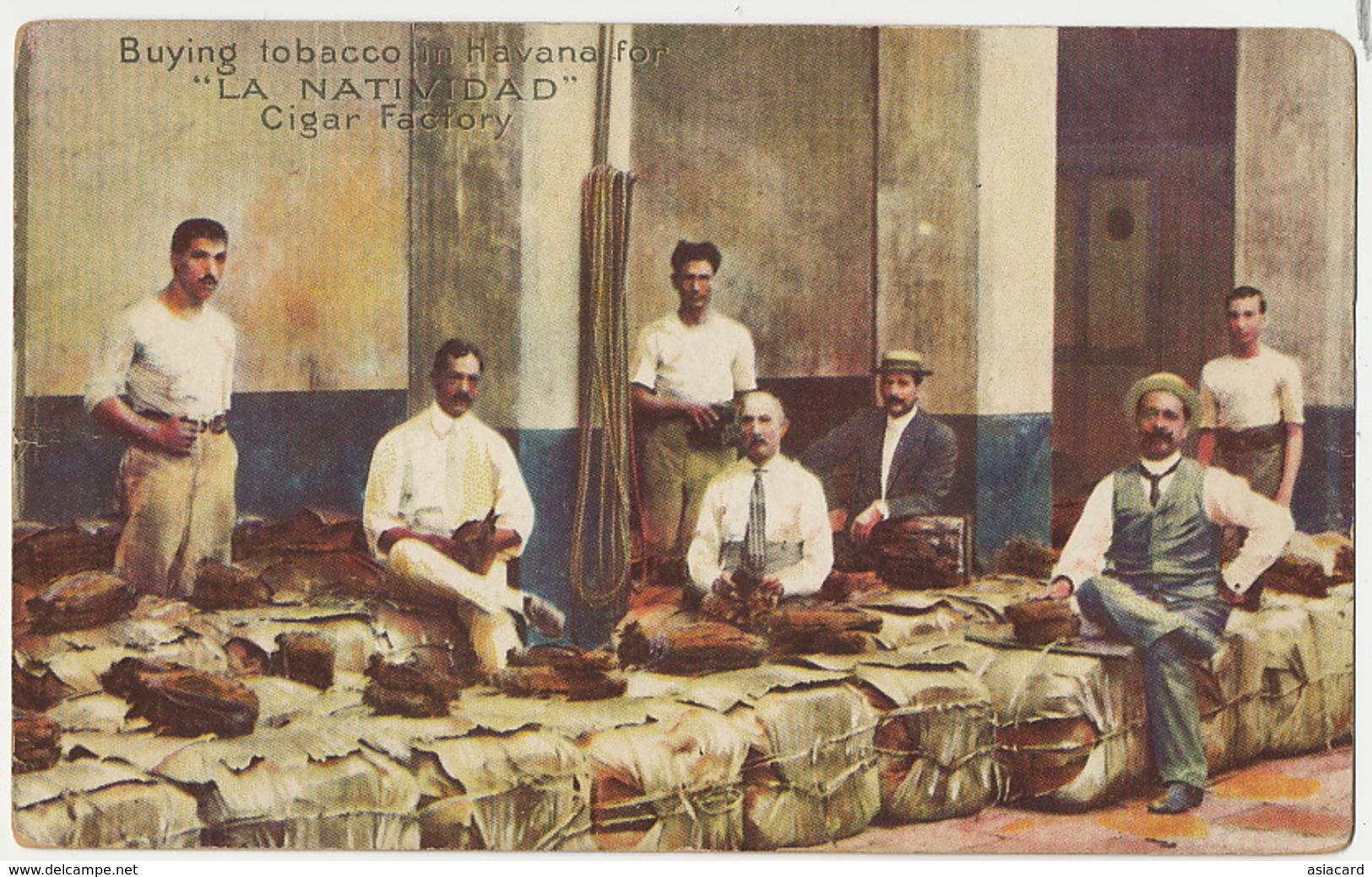 Buying Tobacco In Havana For " La Natividad " Cigar Factory Tabac - Cuba