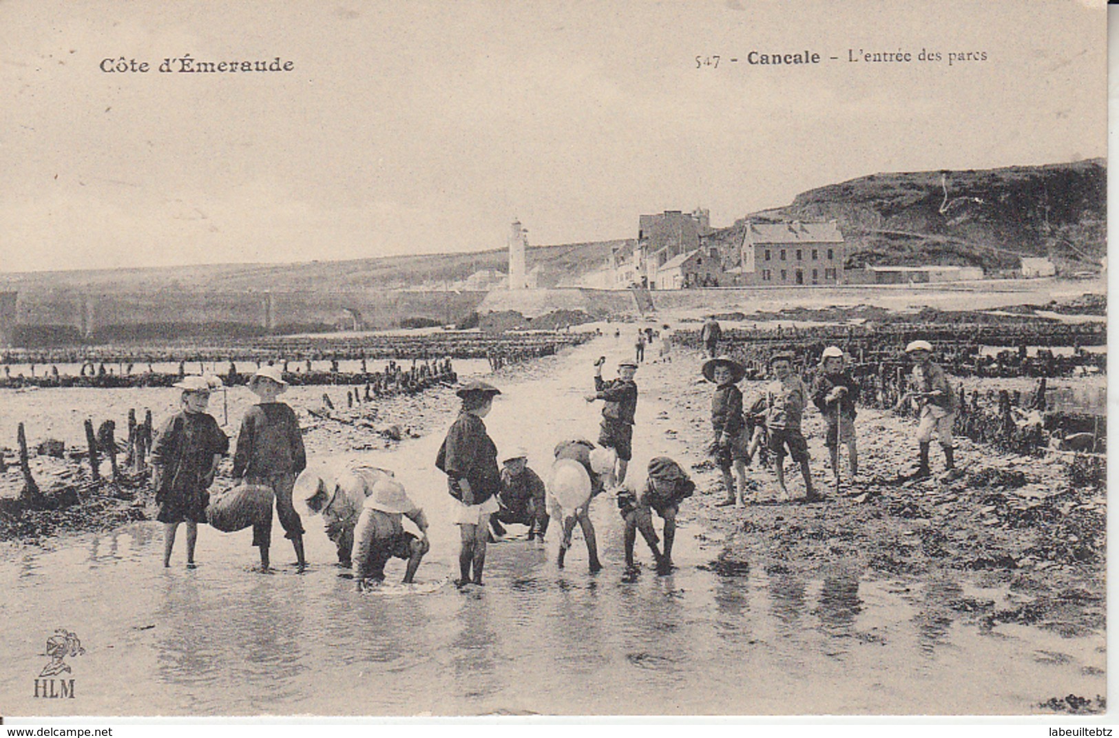 CANCALE - L'éntrée Des Parcs ( Huitre Palourde Coque ) PRIX FIXE - Cancale