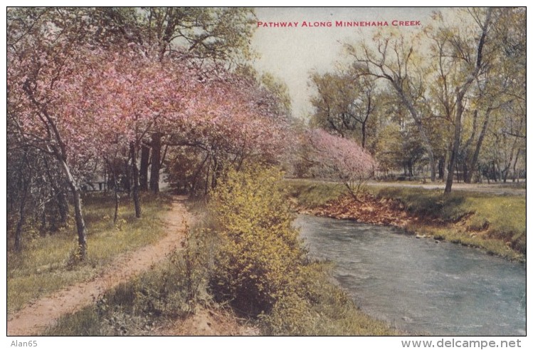 Nielsville Minnesoat, Polk County Doane Cancel Postmark, 1910s Vintage Postcard - Postal History