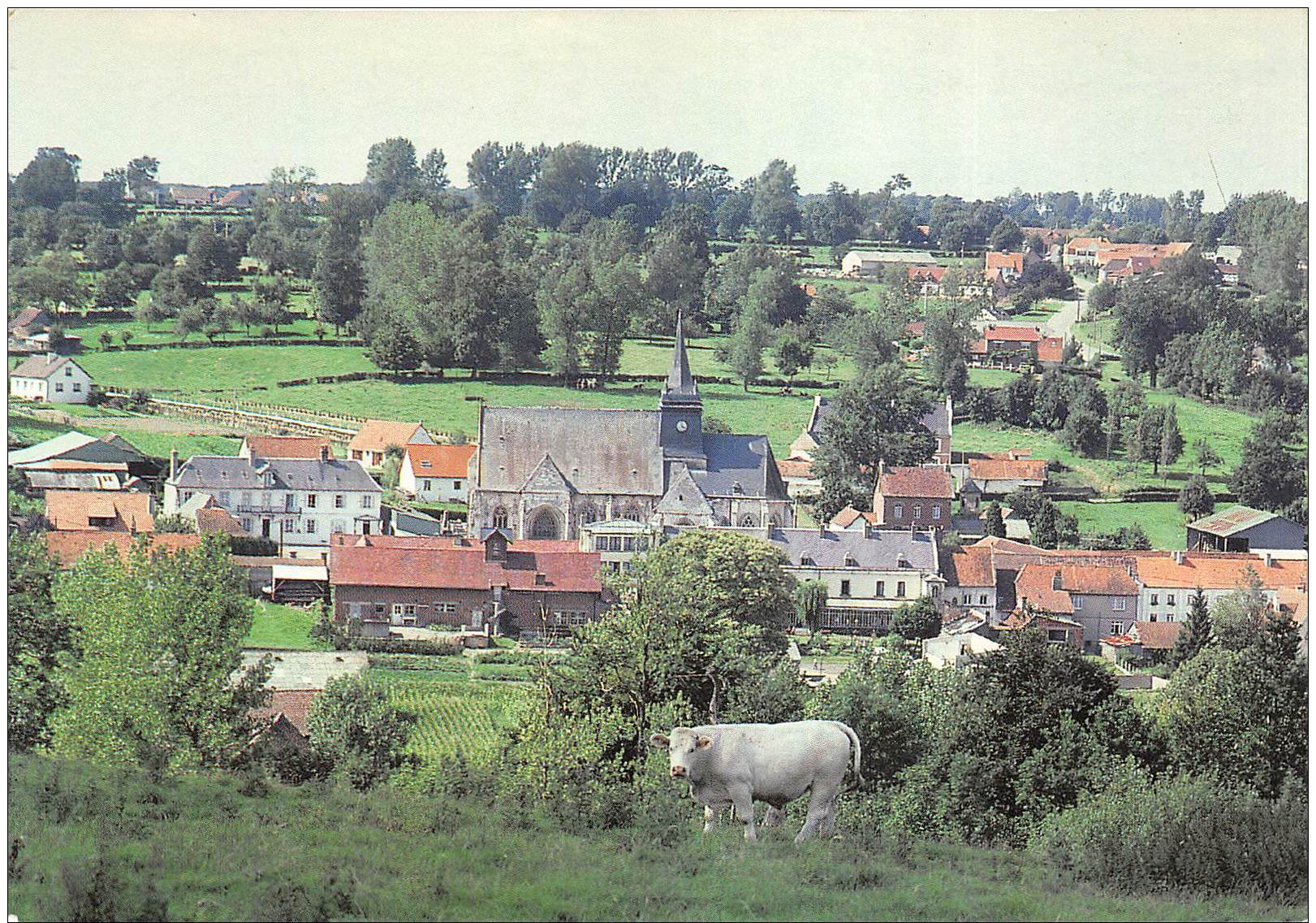 Fressin - Vue Panoramique - Autres & Non Classés