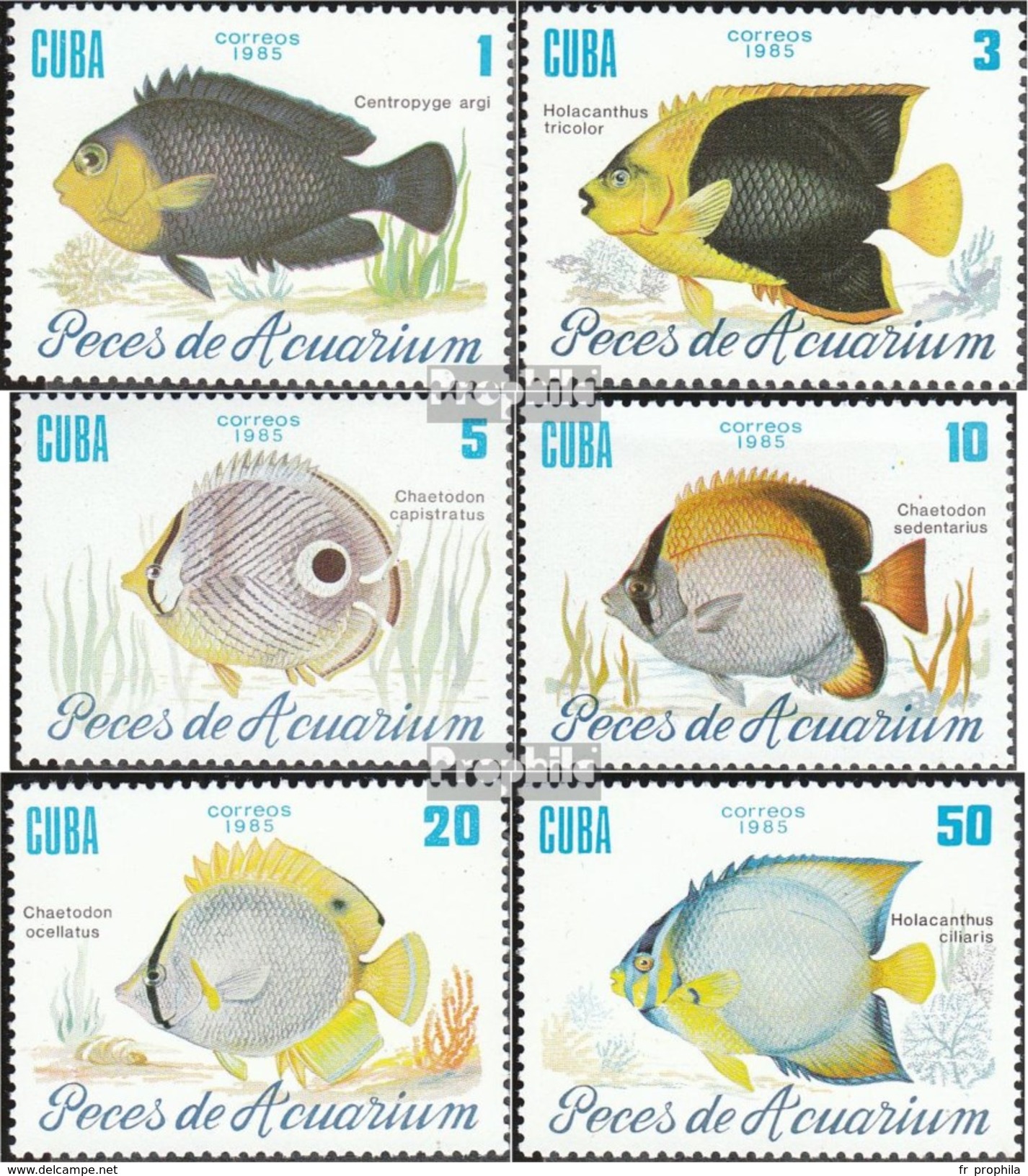 Cuba 2965-2970 (complète.Edition.) Neuf Avec Gomme Originale 1985 Aquariums - Ongebruikt