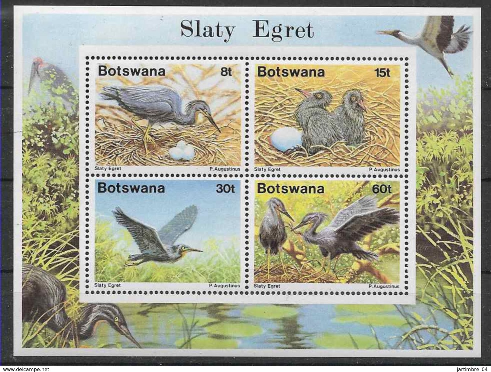 1989 BOTSWANA BF 22 **  Oiseaux, Nids - Botswana (1966-...)