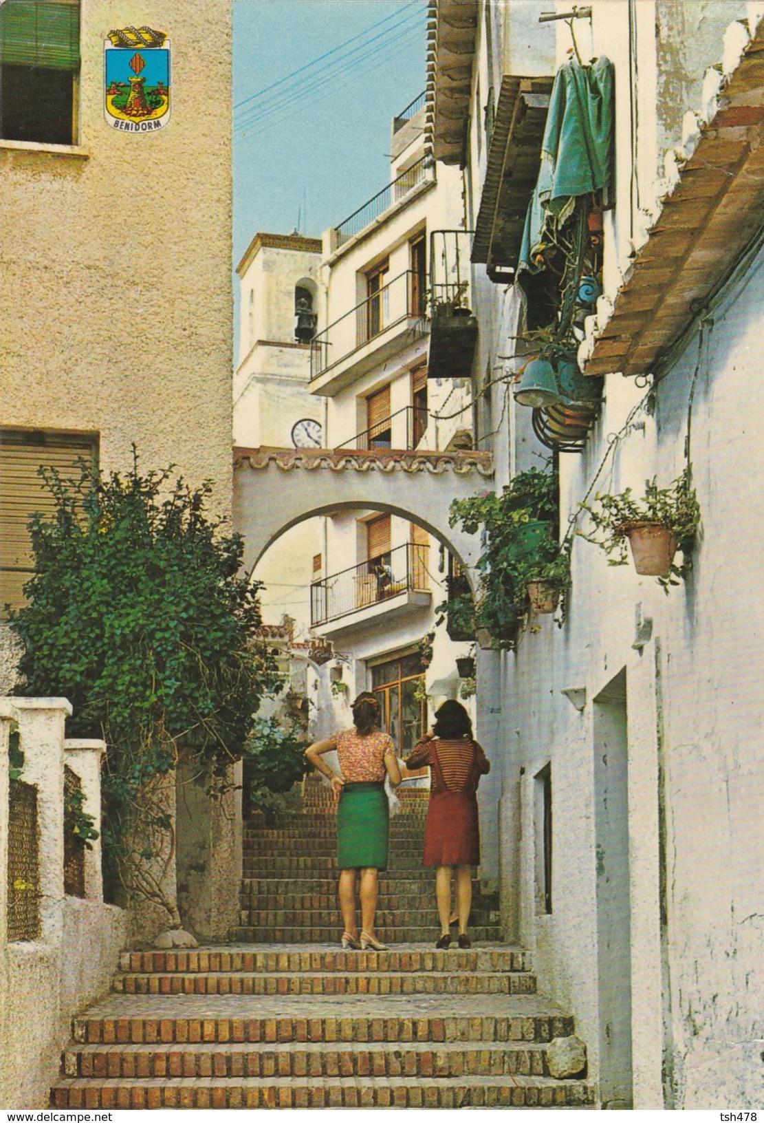 ESPAGNE---BENIDORM--calle Los Gatos--voir 2 Scans - Autres & Non Classés