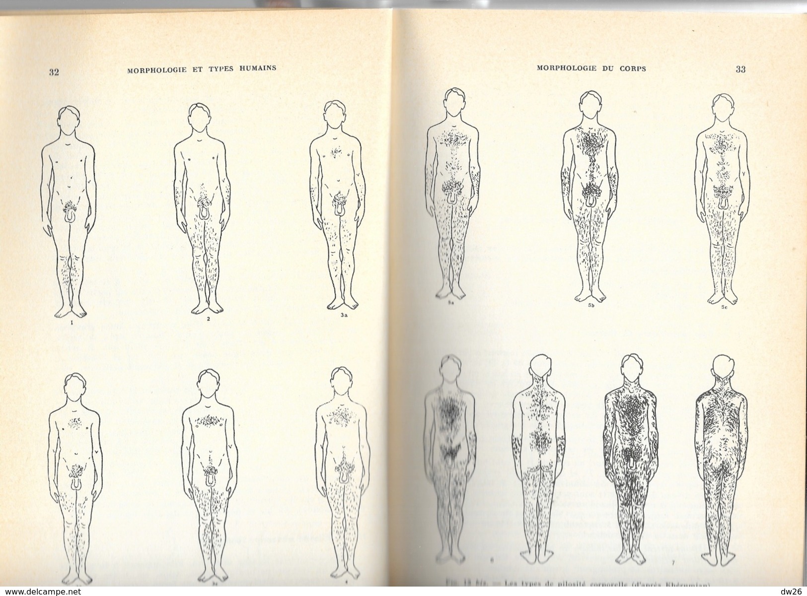 Livre Sciences: Morphologie Et Types Humains - Edition Vigot Frères 1967 - Scienza