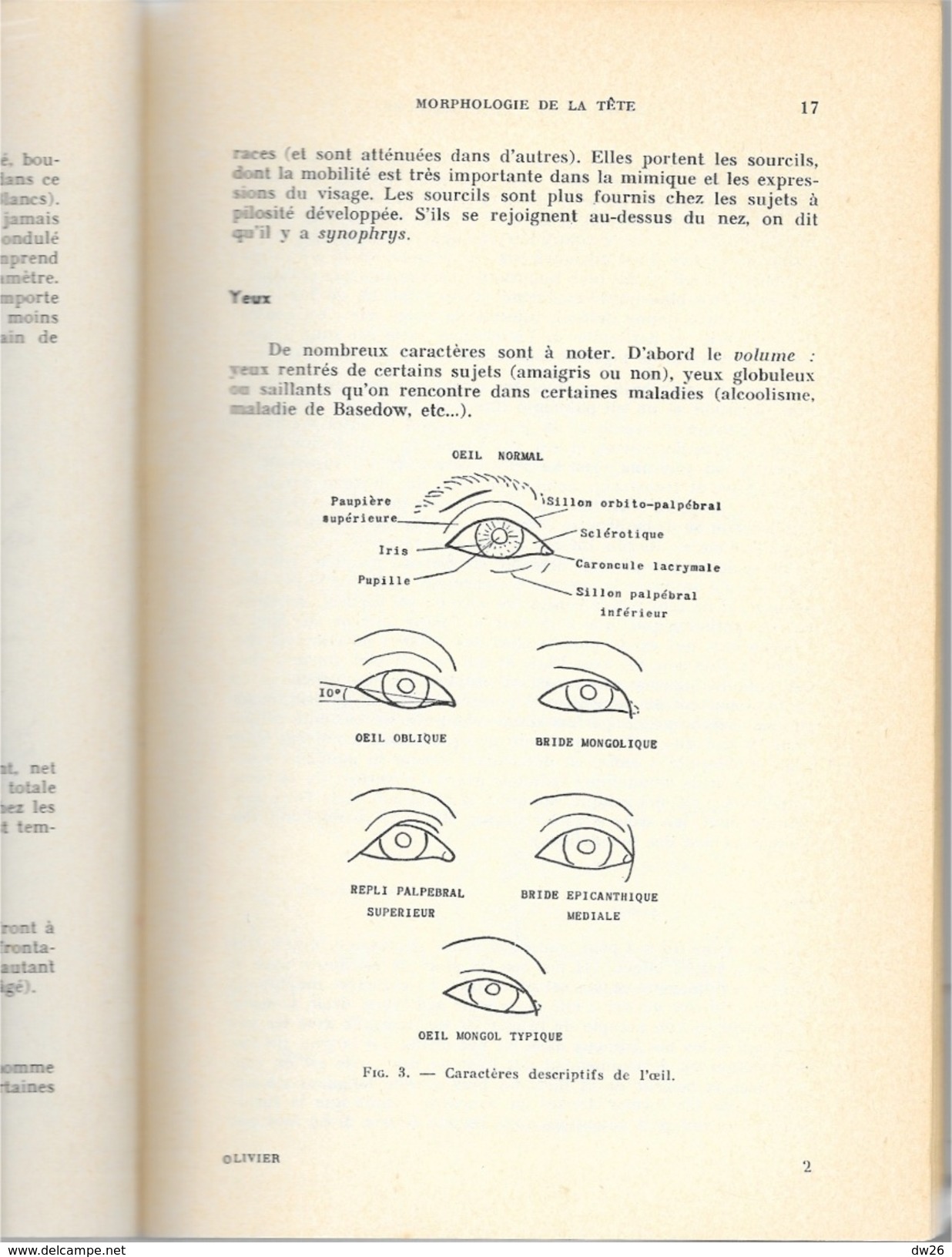 Livre Sciences: Morphologie Et Types Humains - Edition Vigot Frères 1967 - Wetenschap