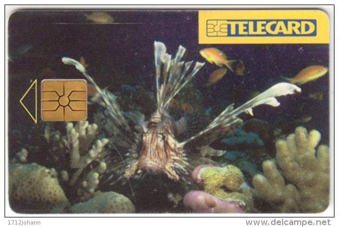 CZECH REP. C-877 Chip Telecom - Animal, Sea Life, Fish - Used - Tchéquie