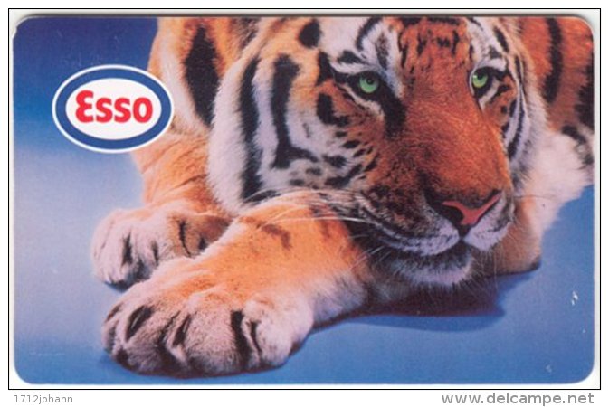 CZECH REP. C-980 Chip Telecom - Animal, Cat, Tiger - Used - Tsjechië