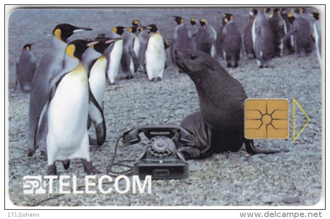 CZECH REP. C-987 Chip Telecom - Animal, Bird, Penguin, Communication, Telephone - Used - Tschechische Rep.