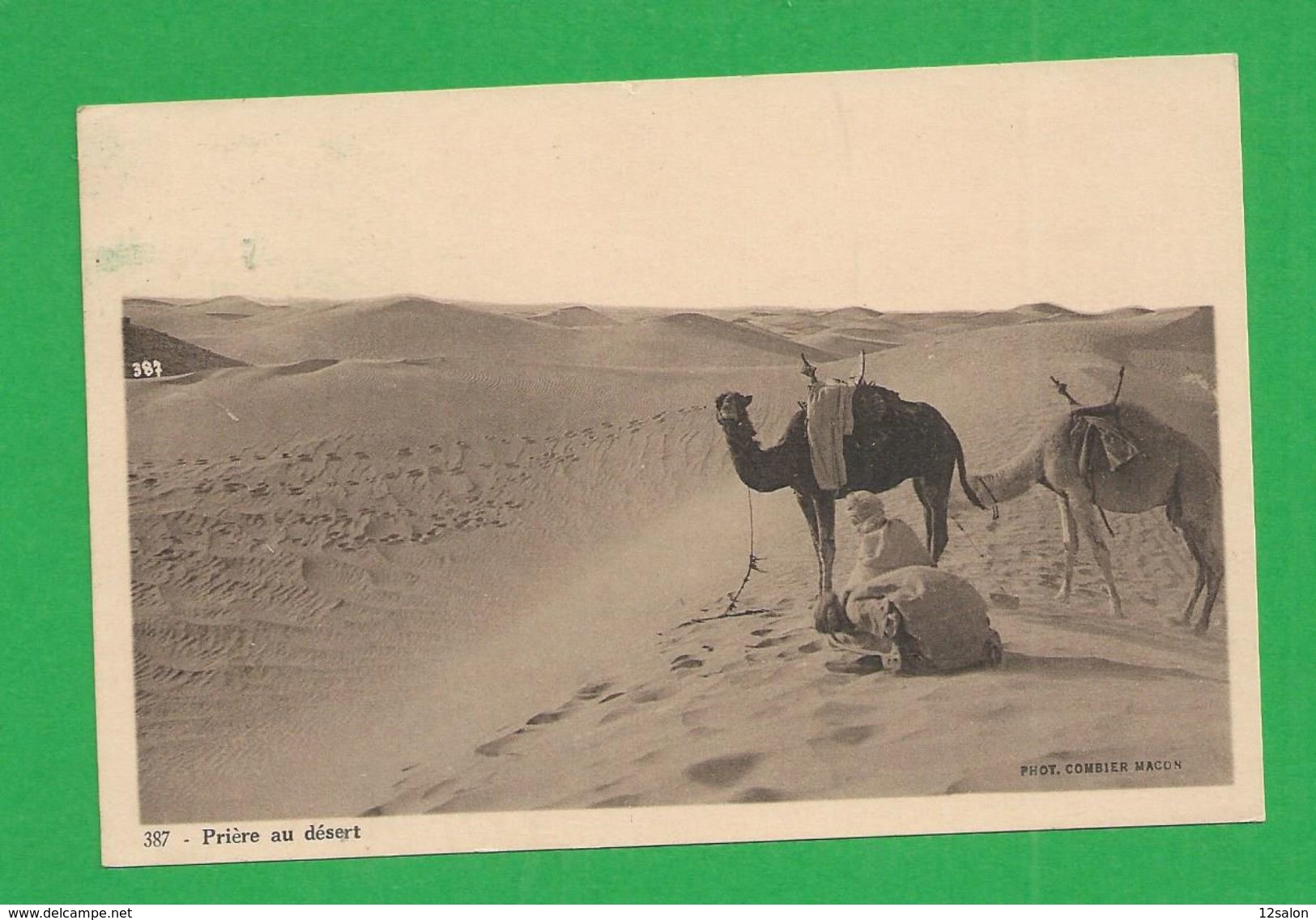 Carte Postales  ALGERIE Priere Au Desert - Sonstige & Ohne Zuordnung