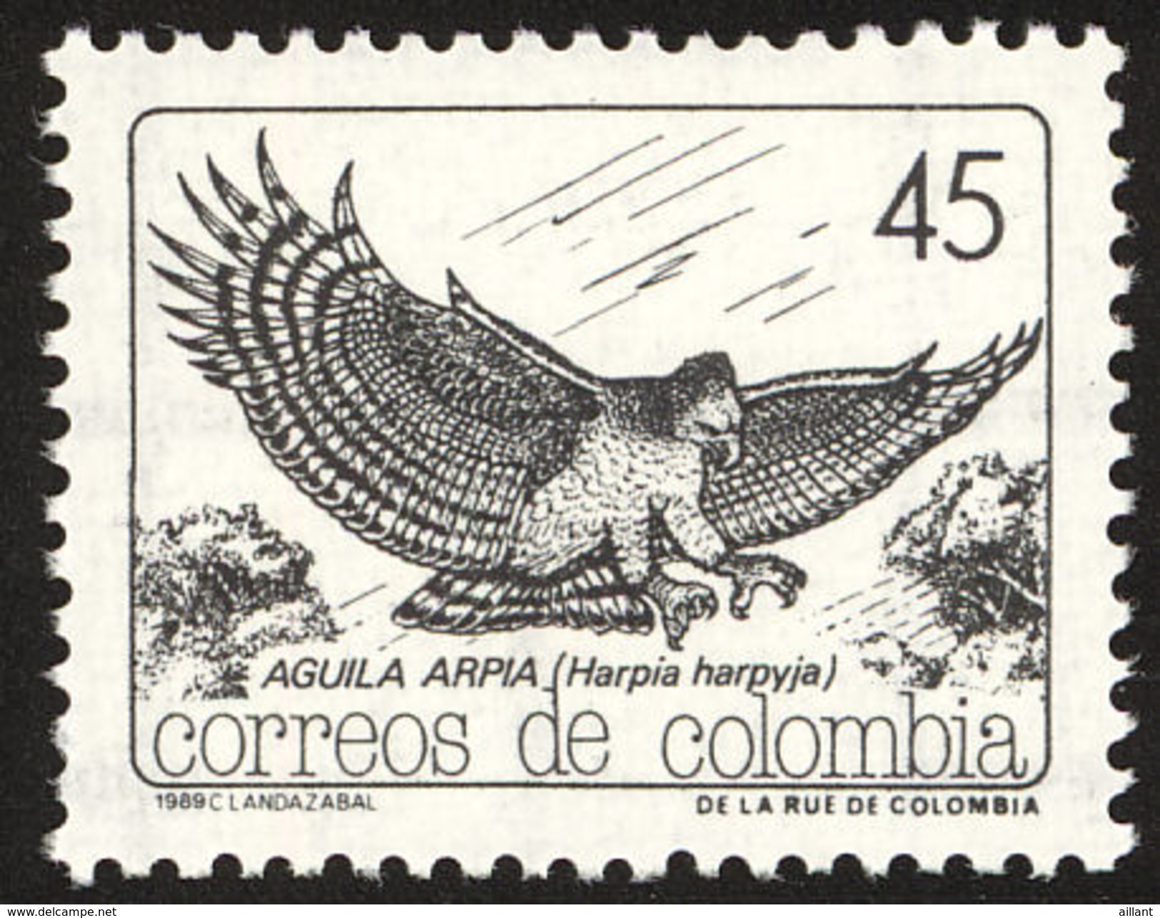 Colombie. Colombia.  Harpy Eagle    Harpia Harpyja - Arends & Roofvogels