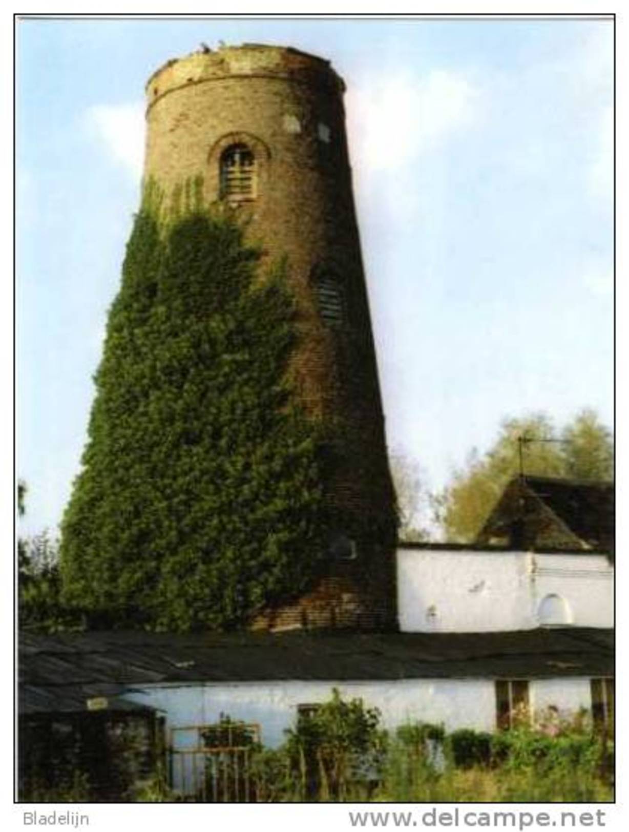 SNELLEGEM Bij Jabbeke (W.Vl.) - Molen/moulin - Prentkaart Van De Romp Van De Boerenmolen Of Desoppers Molen - Jabbeke