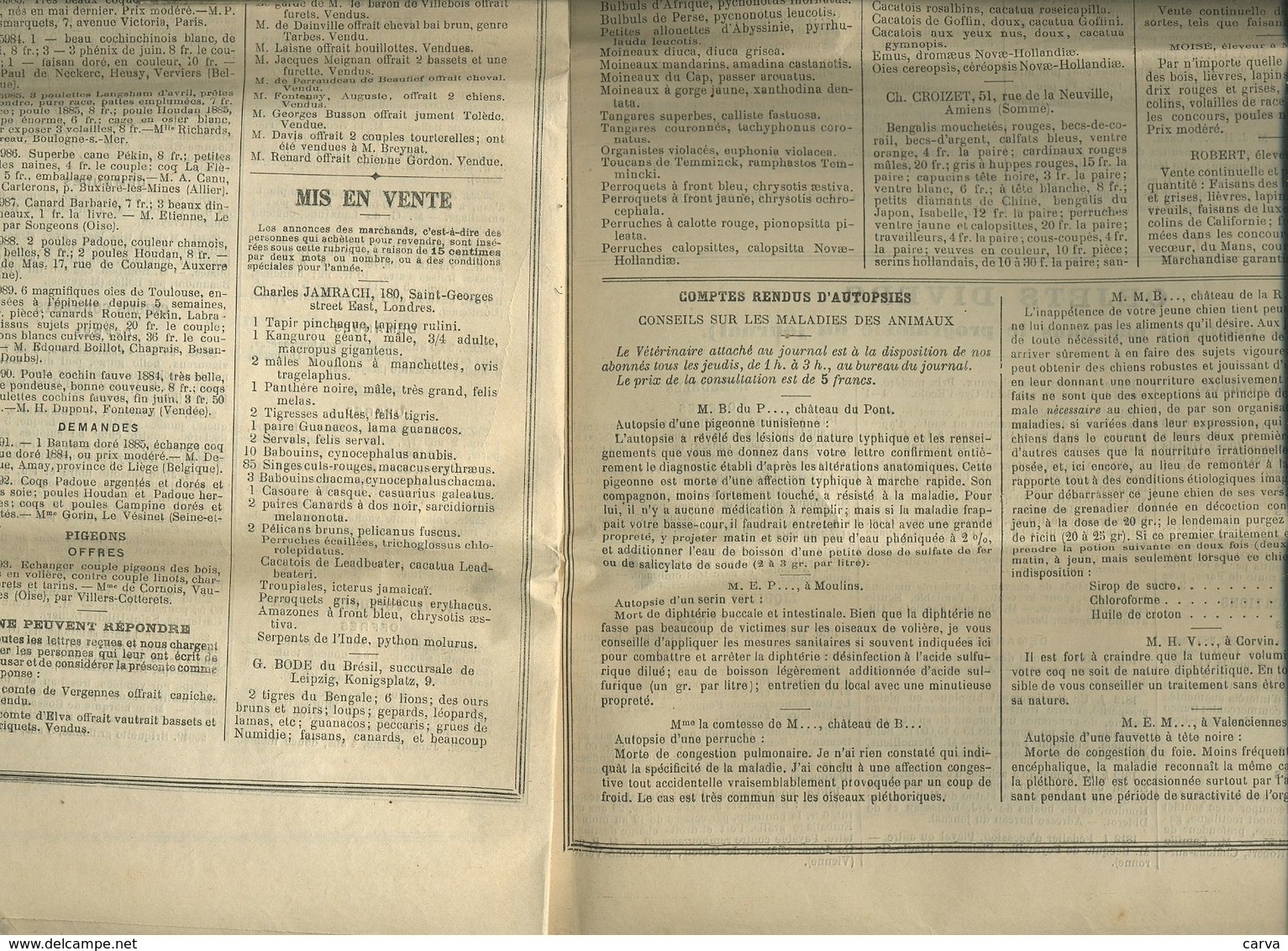 L' Acclimatation Journal  Décembre 1886 ( Logo Chasse à Courre Chiens Poules, Coq Canard, Pigeons) Publicité Microscope - 1850 - 1899