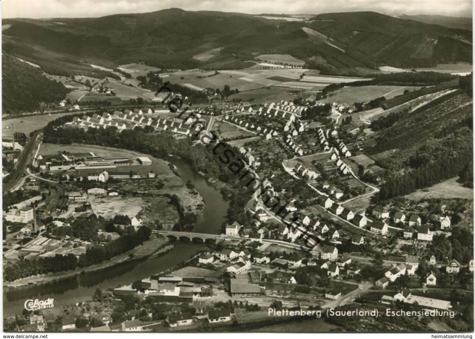 Plettenberg - Eschensiedlung - Luftaufnahme - Foto-AK Großformat 60er Jahre - Verlag Cramers Kunstanstalt - Plettenberg