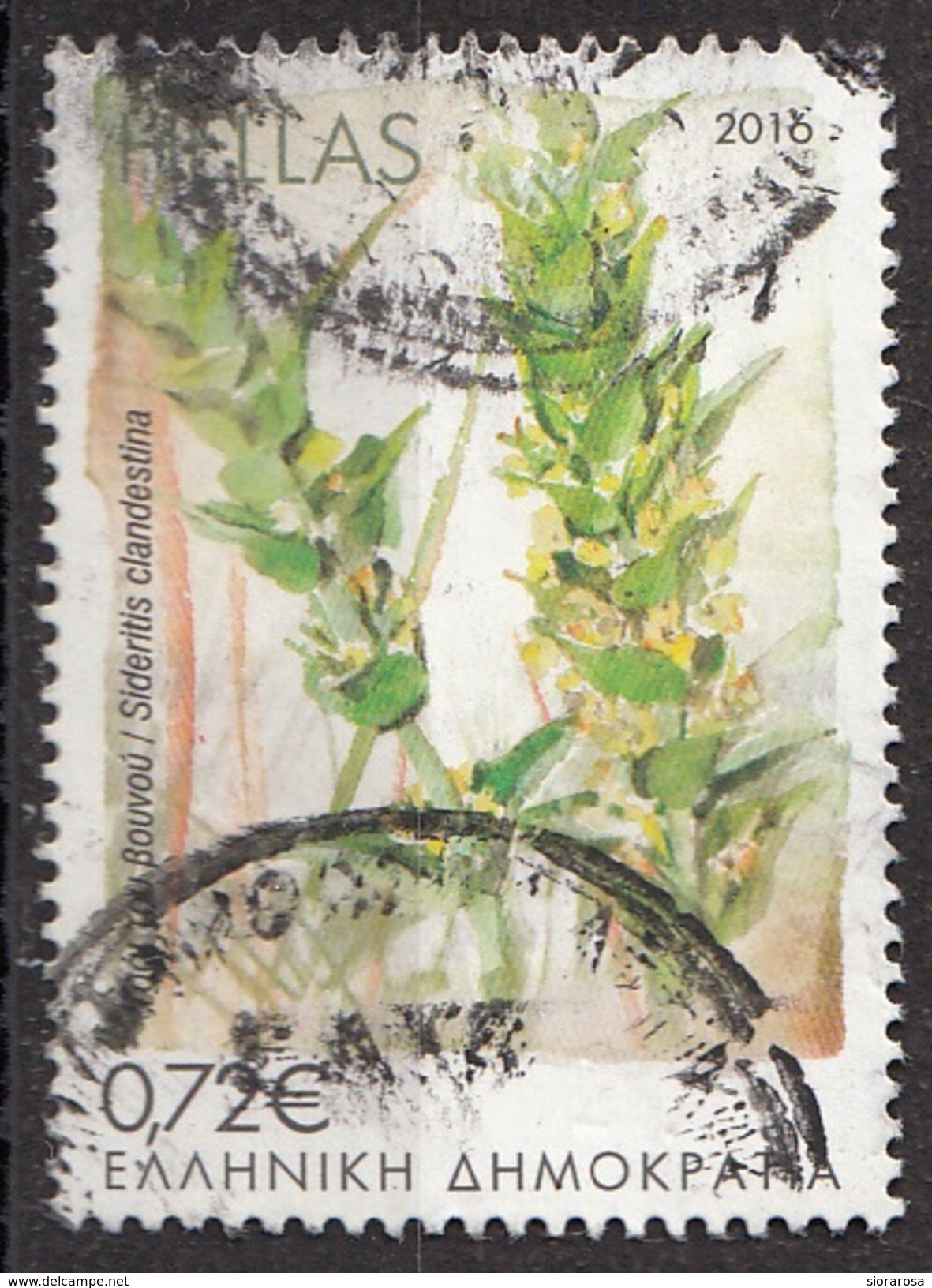 Grecia 2016 Sc. Sideritis Clandestina Used Hellas Greece - Vegetazione