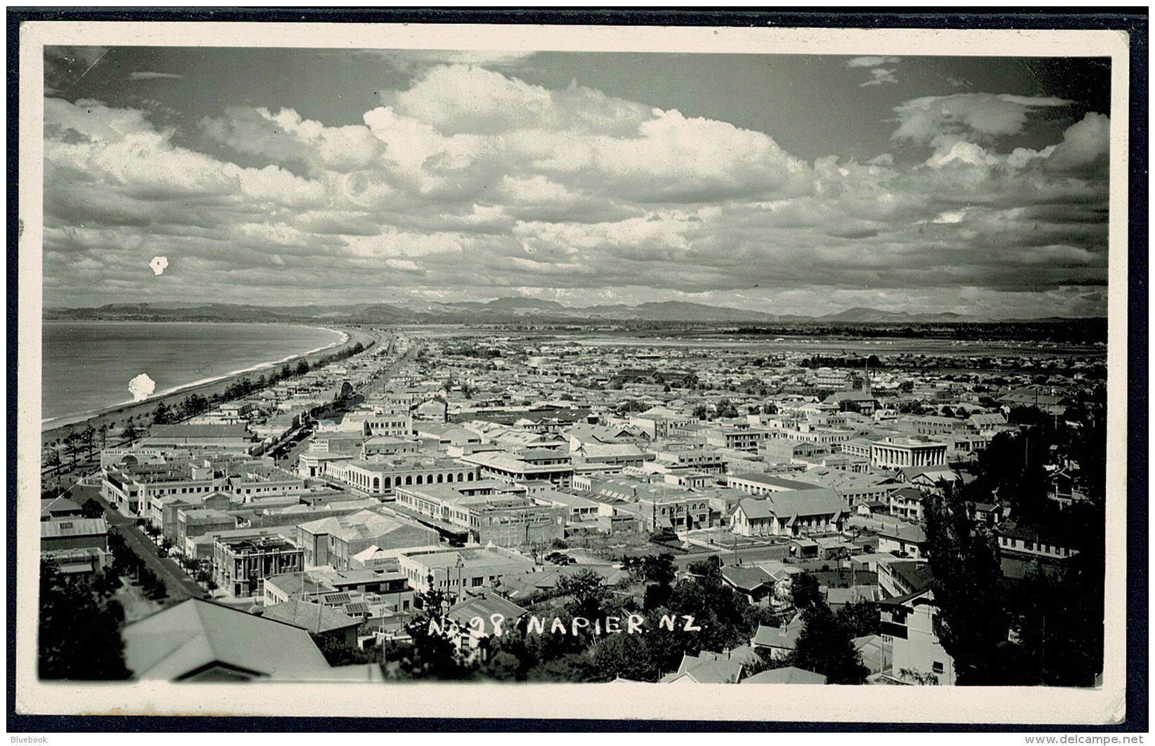 RB 1181 - New Zealand Real Photo Plain Back Card - Aerial View Over Town Of Napier - New Zealand