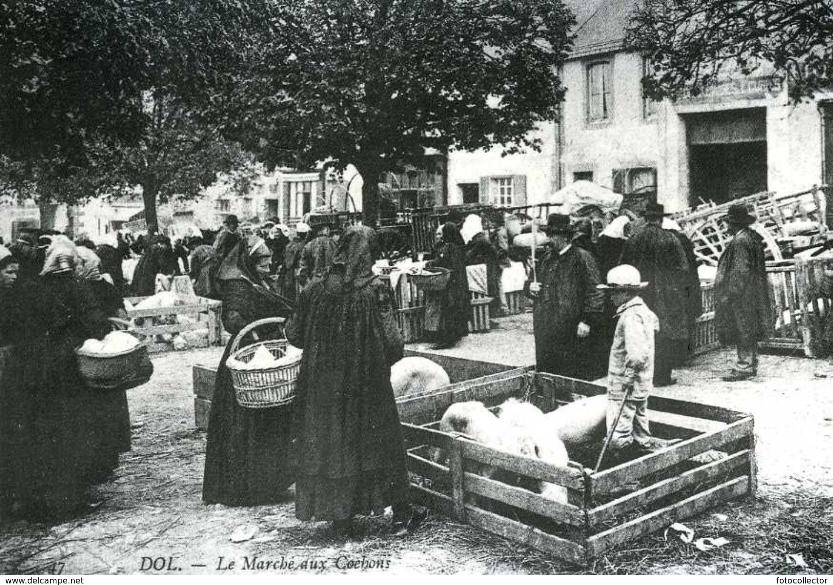 Dol De Bretagne (35) : Le Marché Aux Cochons - Dol De Bretagne